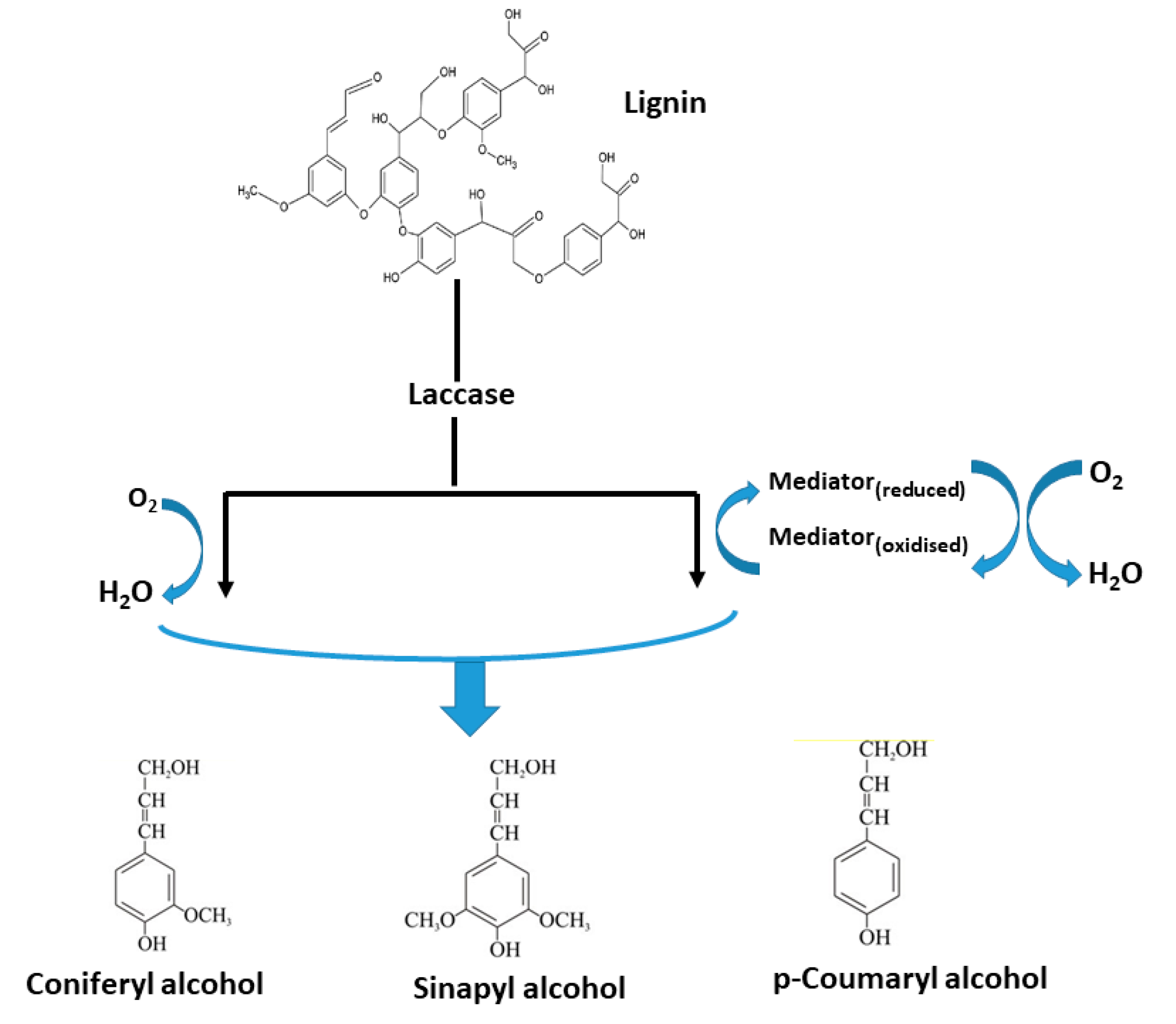 Sustainability 12 07282 g004