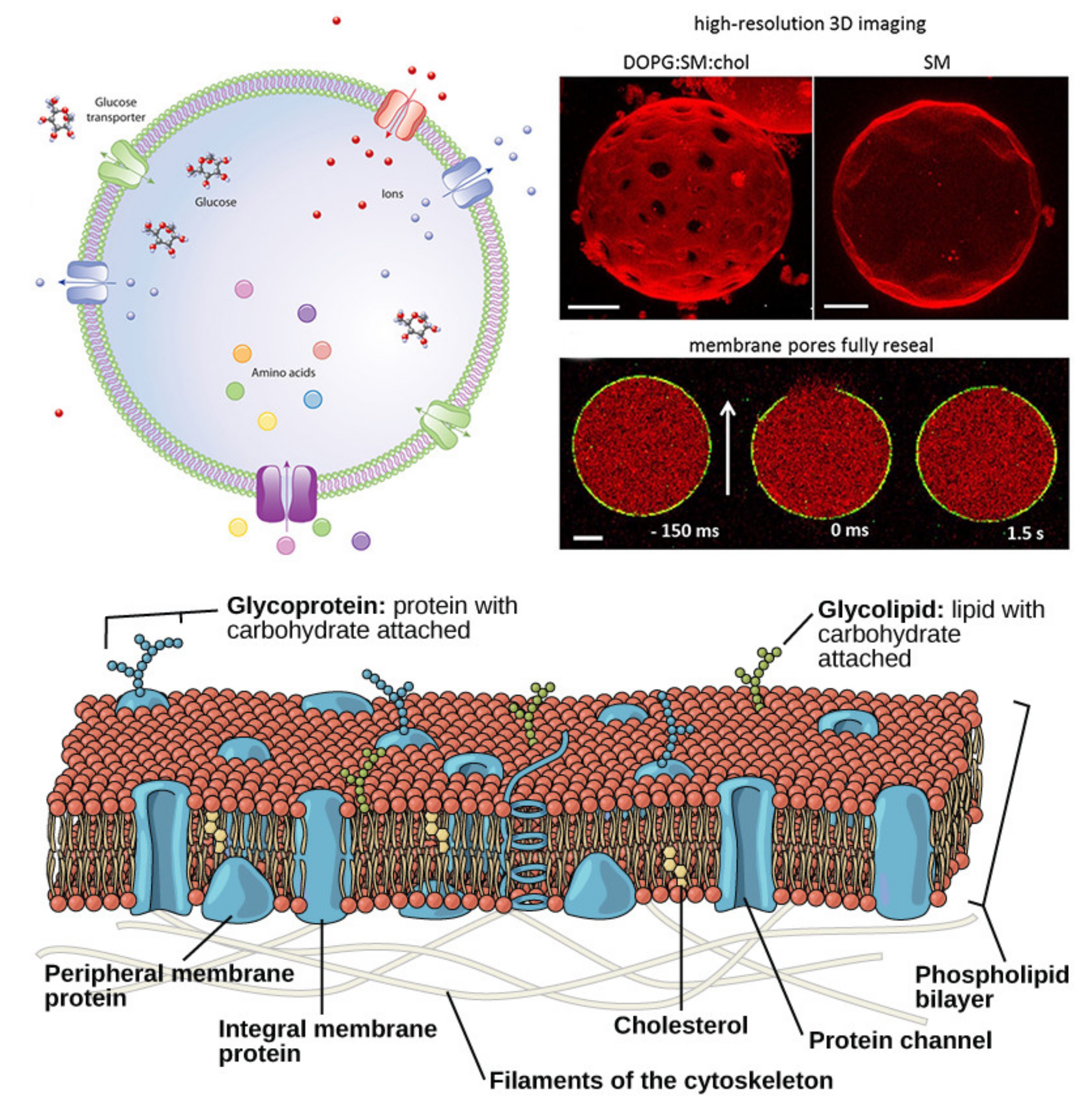 Sustainability 12 07284 g003