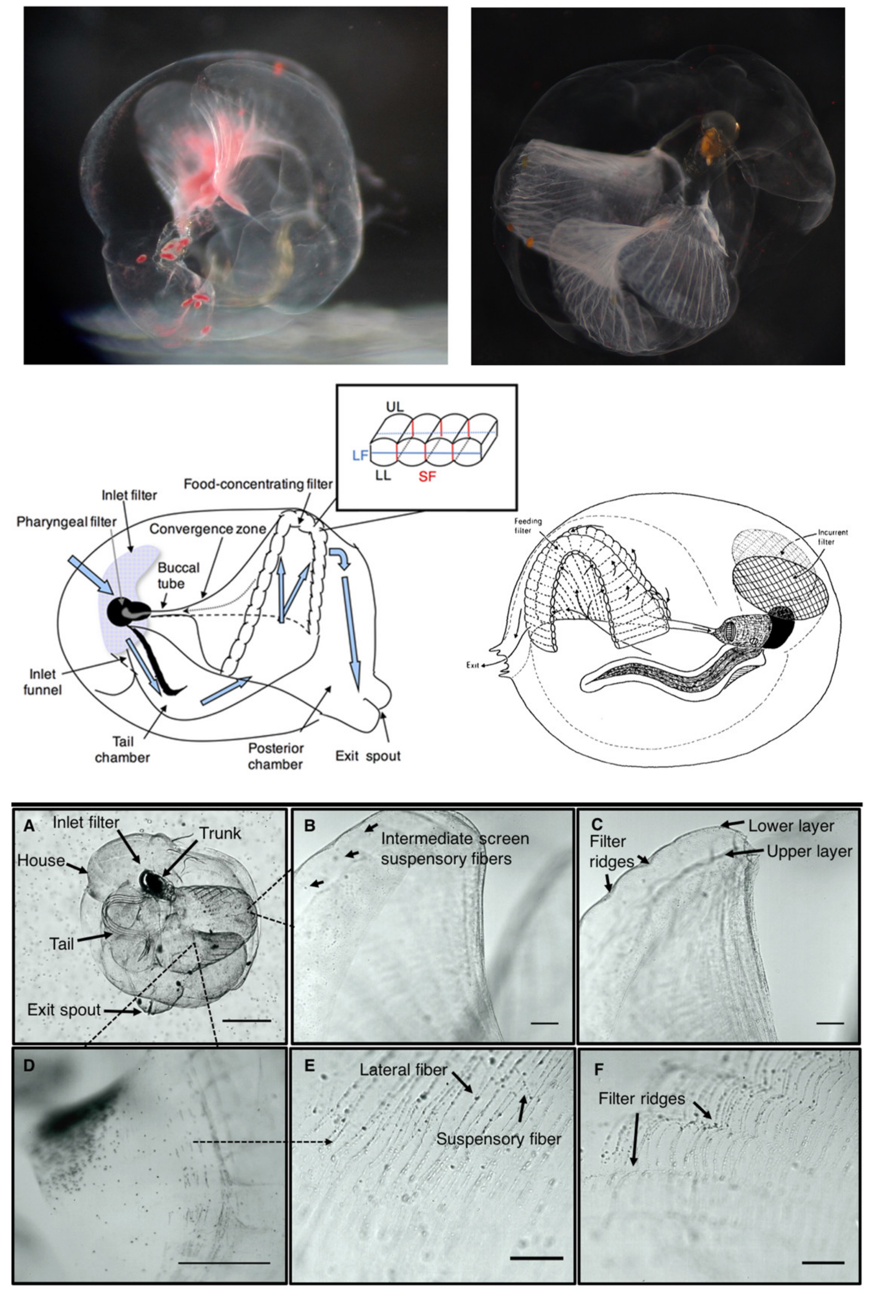 Sustainability 12 07284 g004