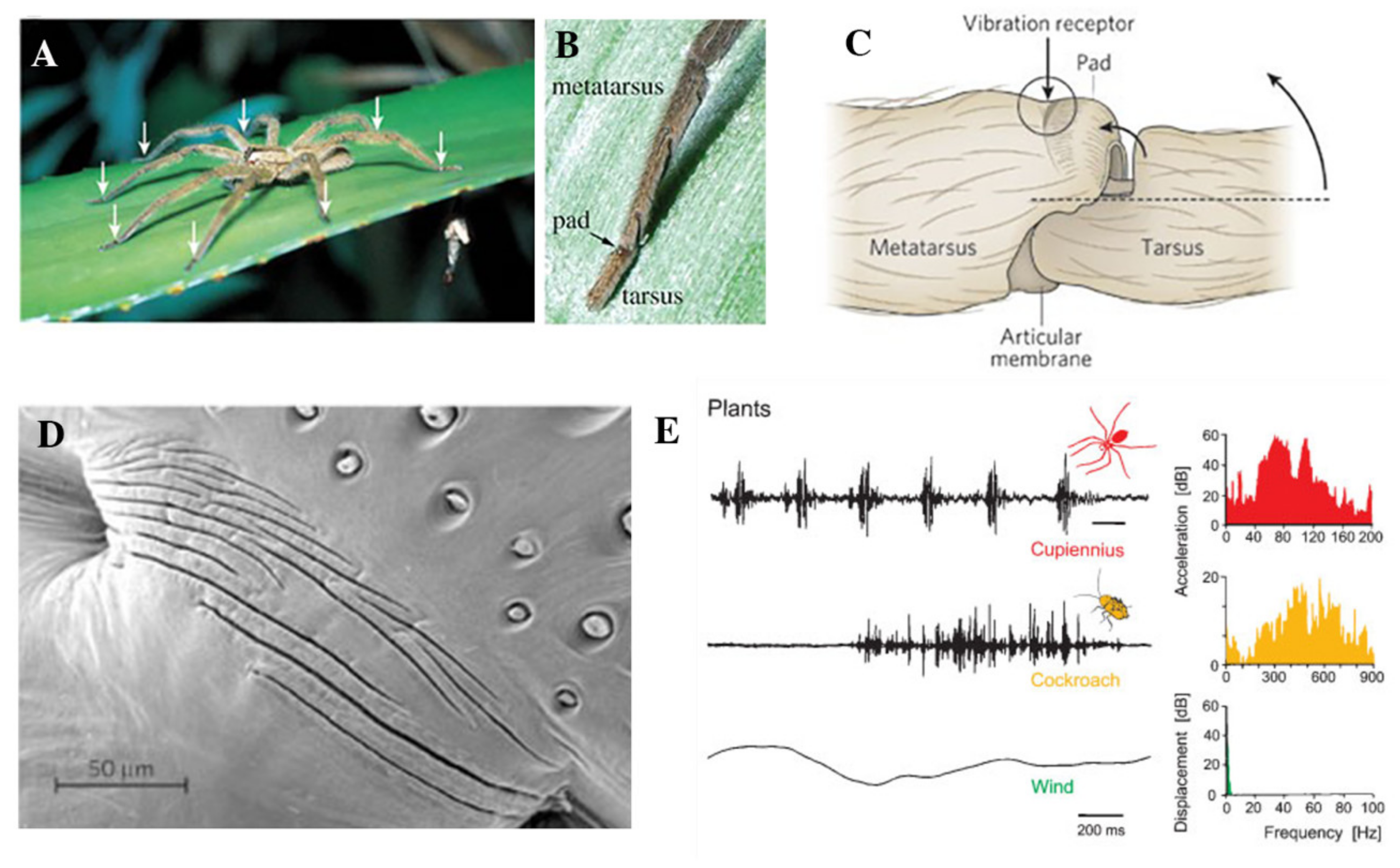 Sustainability 12 07284 g006