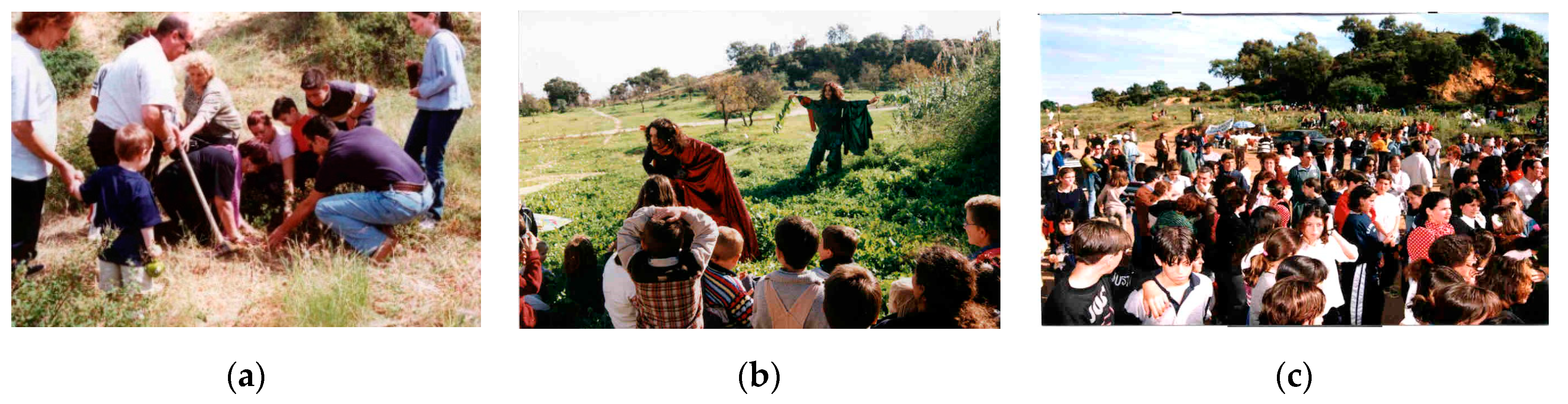 Sustainability 12 07305 g002