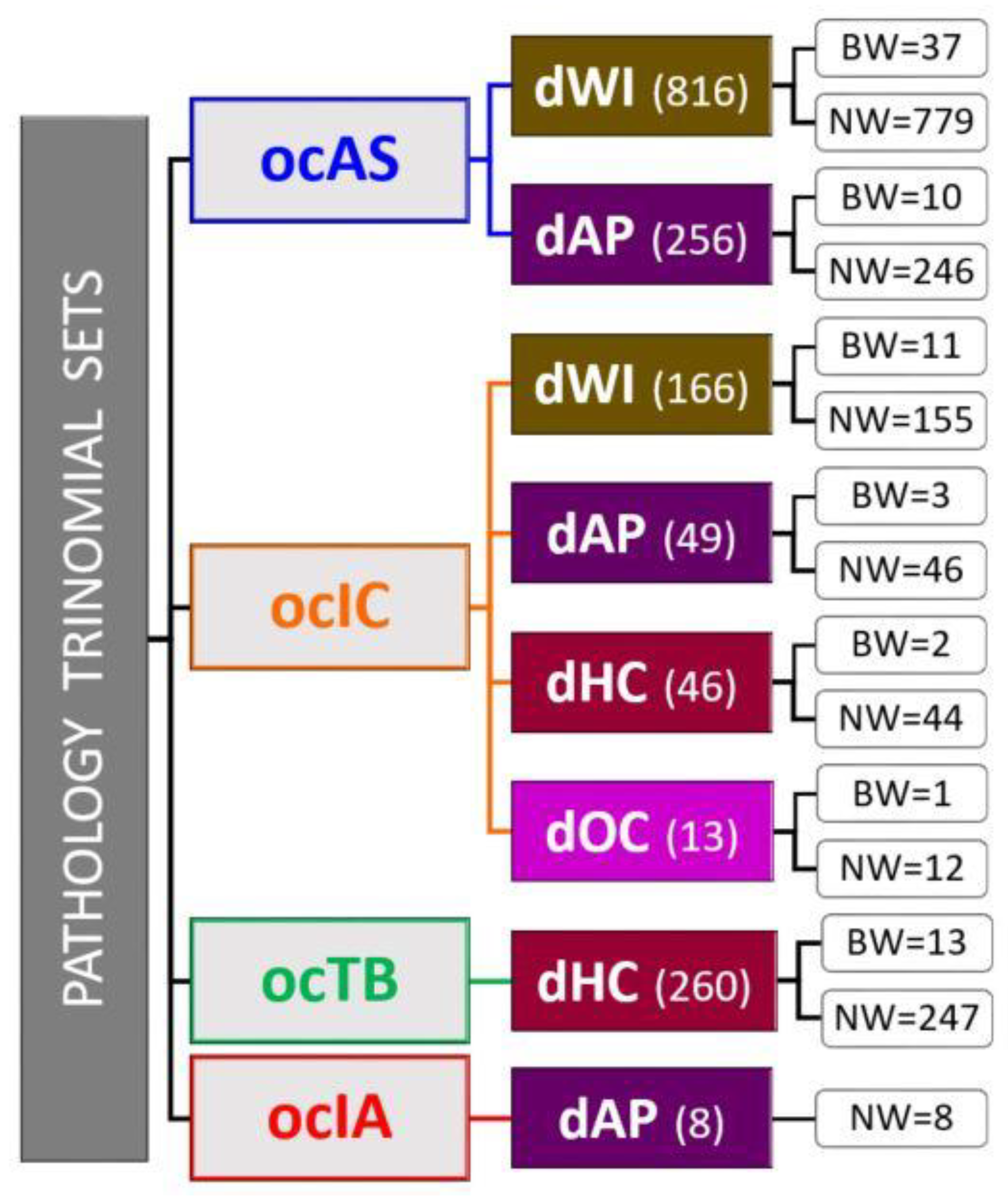 Sustainability 12 07398 g005