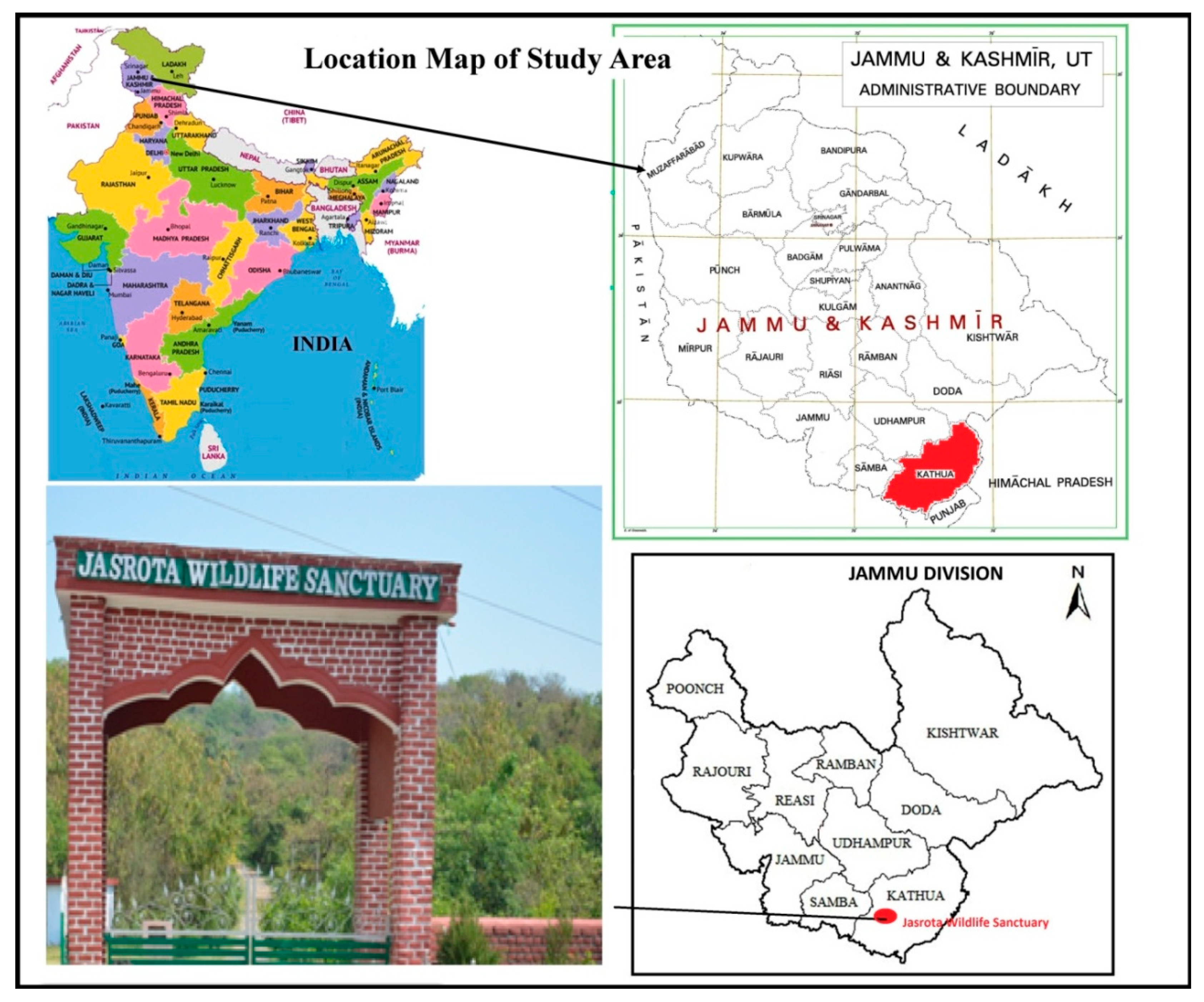 Sustainability 12 07526 g001