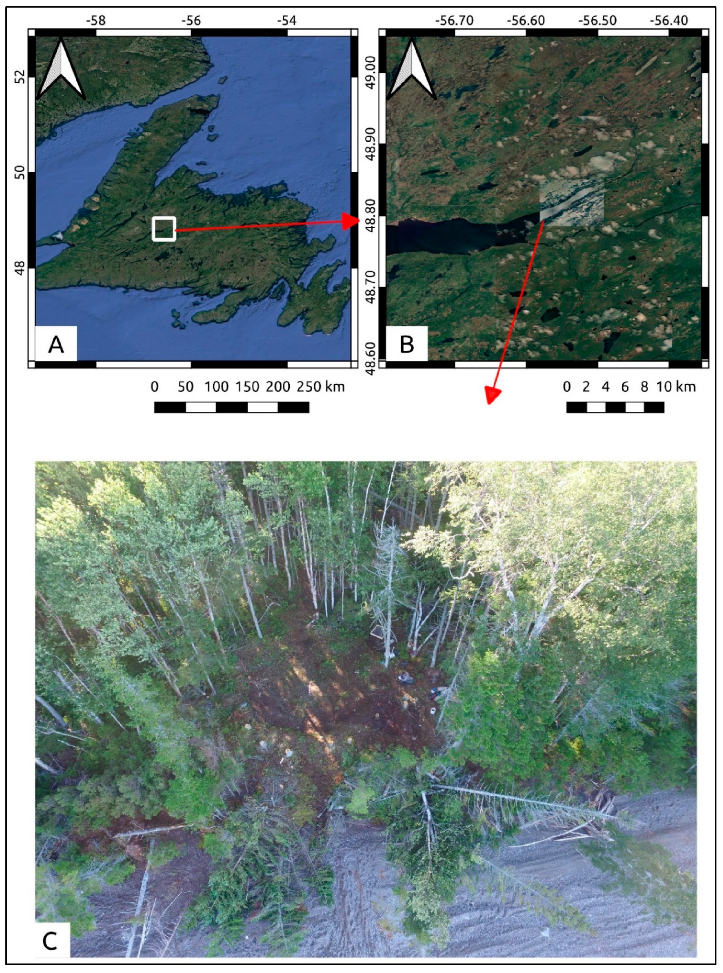 Sustainability 12 07555 g001