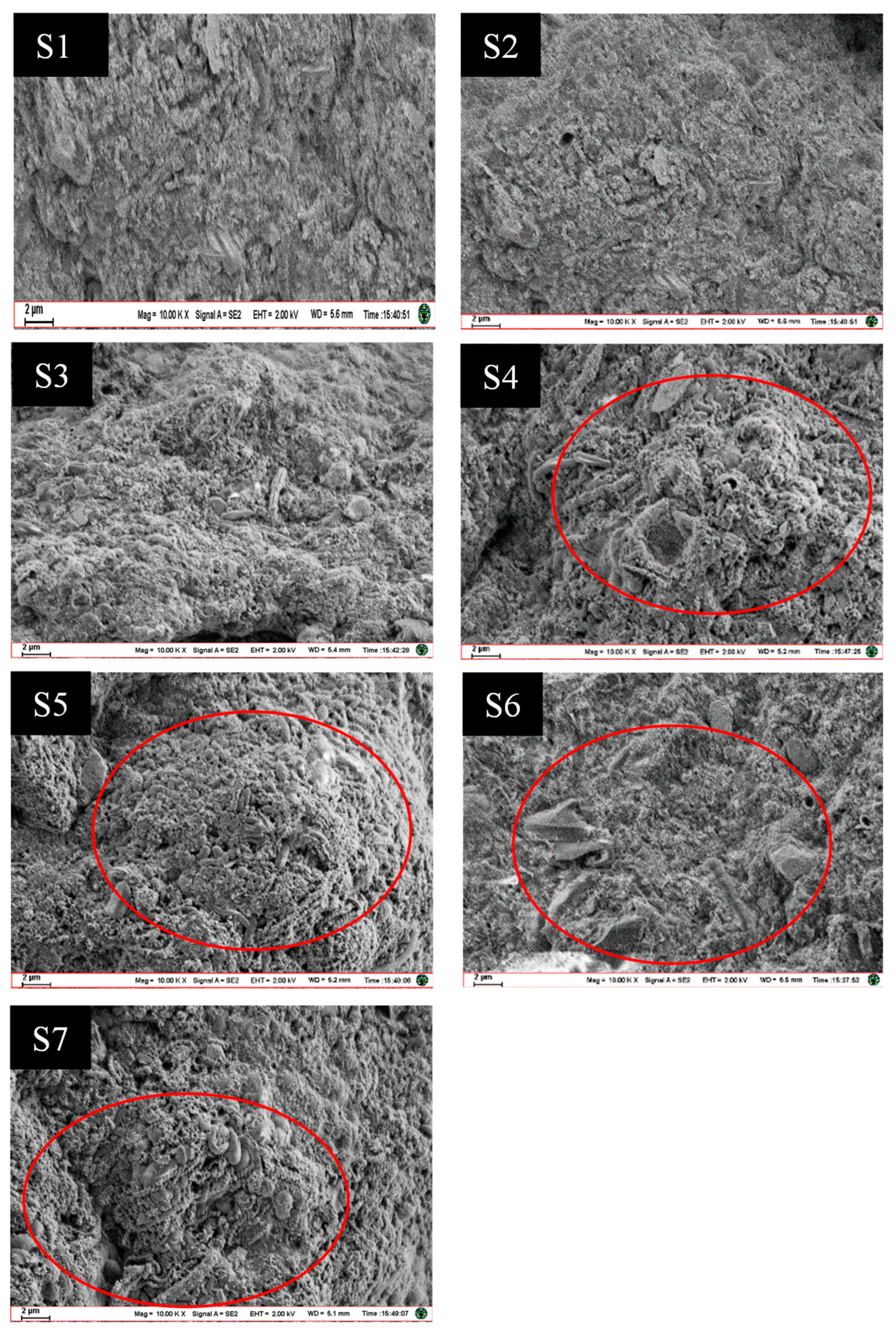 Sustainability 12 07611 g002