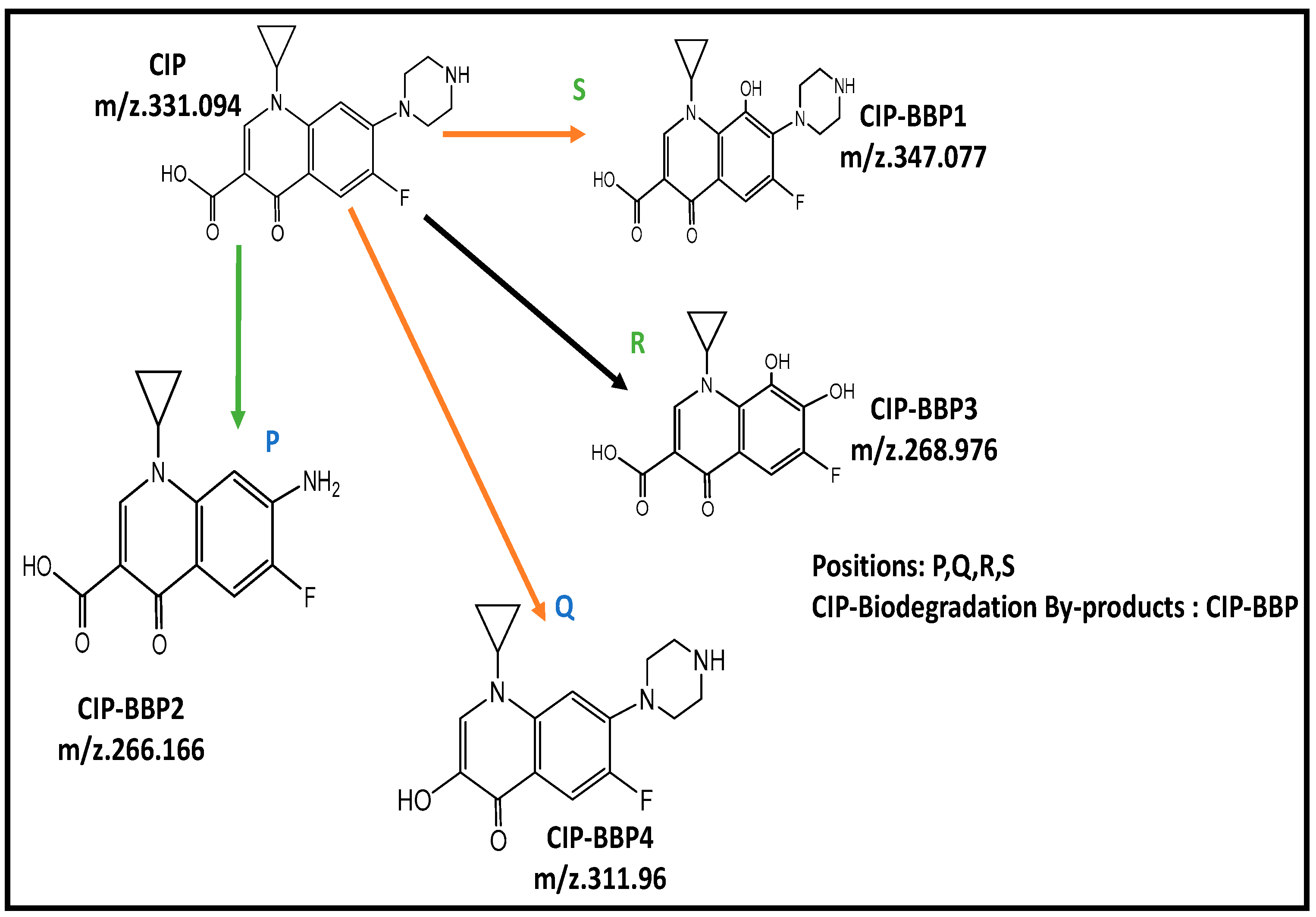 Sustainability 12 07611 g006