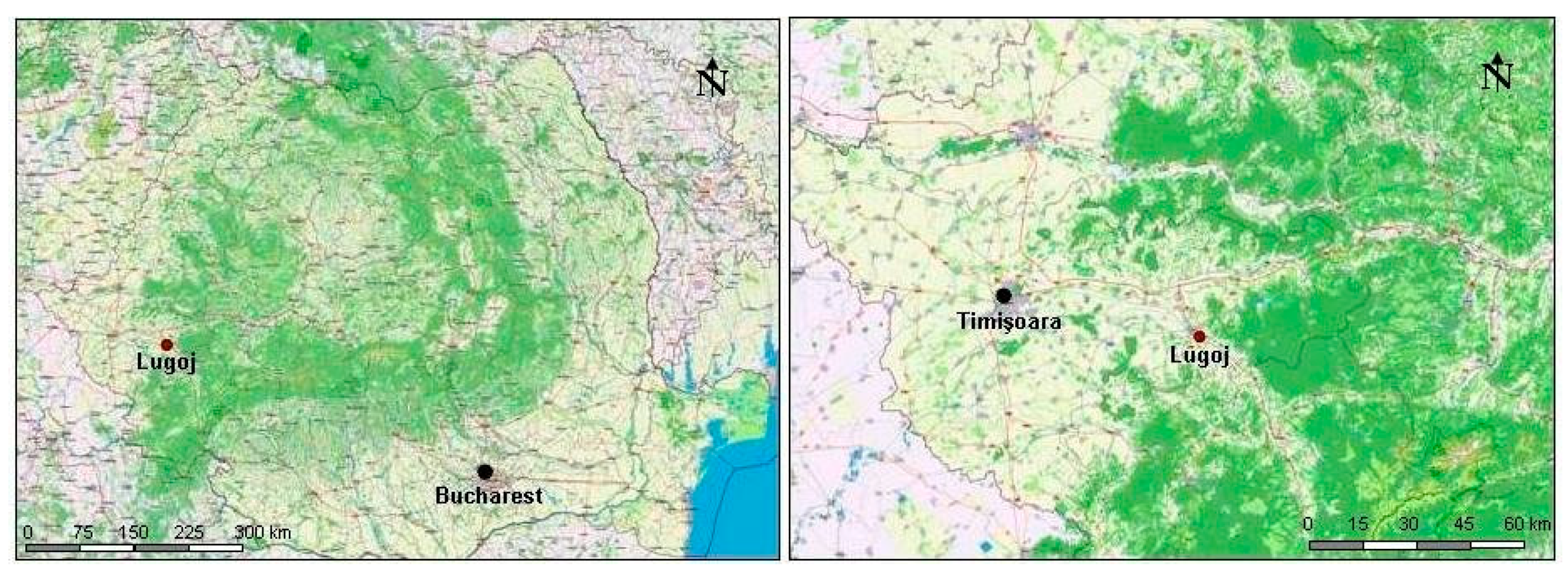 Sustainability 12 07627 g001