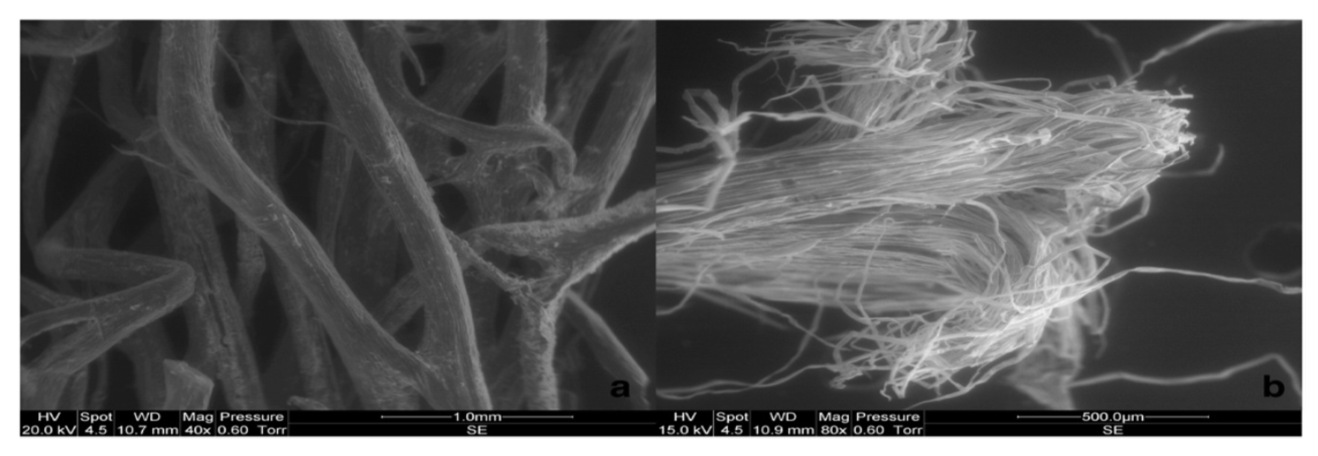 Sustainability 12 07683 g004