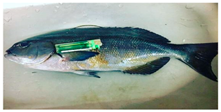 Sustainability 12 07770 i004 Sustainability 12 07770 i004