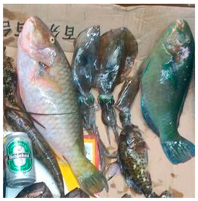 Sustainability 12 07770 i006 Sustainability 12 07770 i006