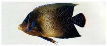 Sustainability 12 07770 i014 Sustainability 12 07770 i014