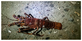 Sustainability 12 07770 i018 Sustainability 12 07770 i018