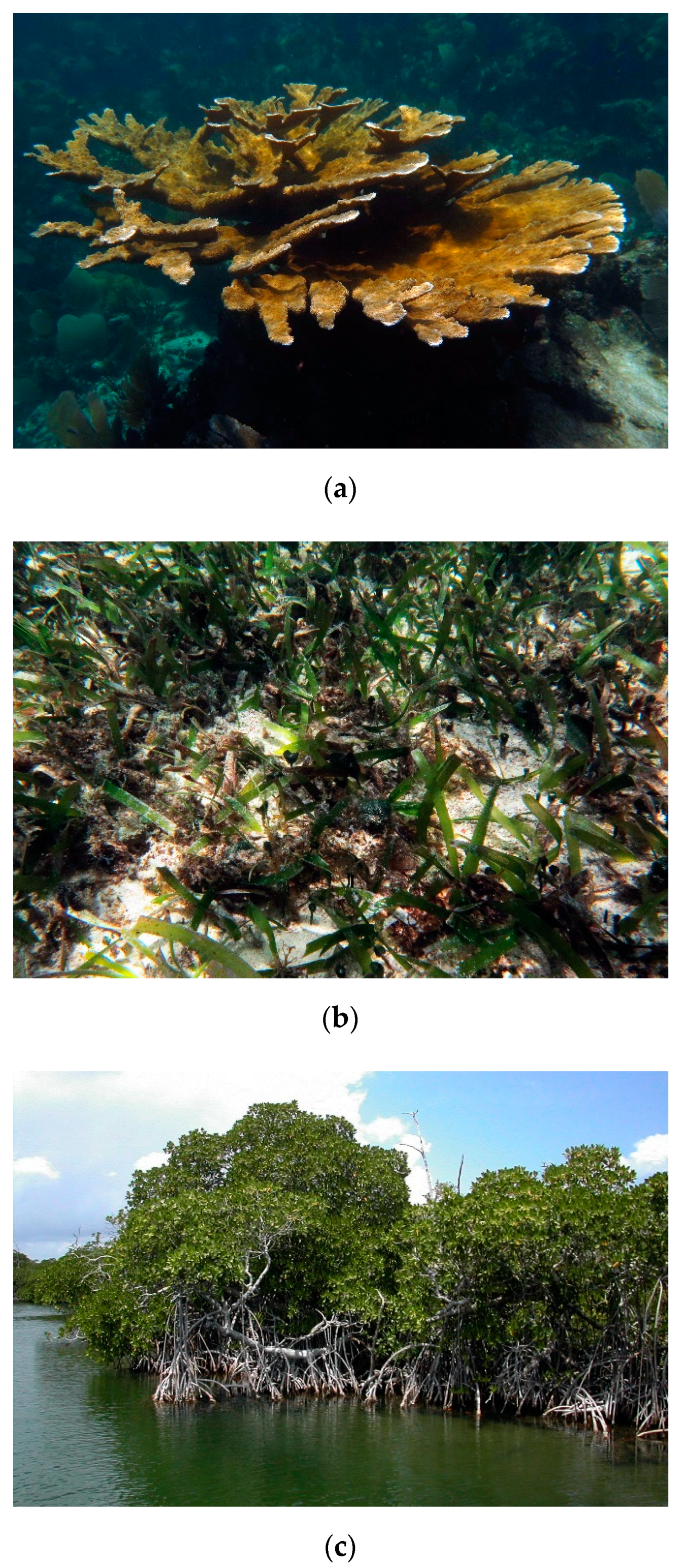 Sustainability 12 07814 g003a