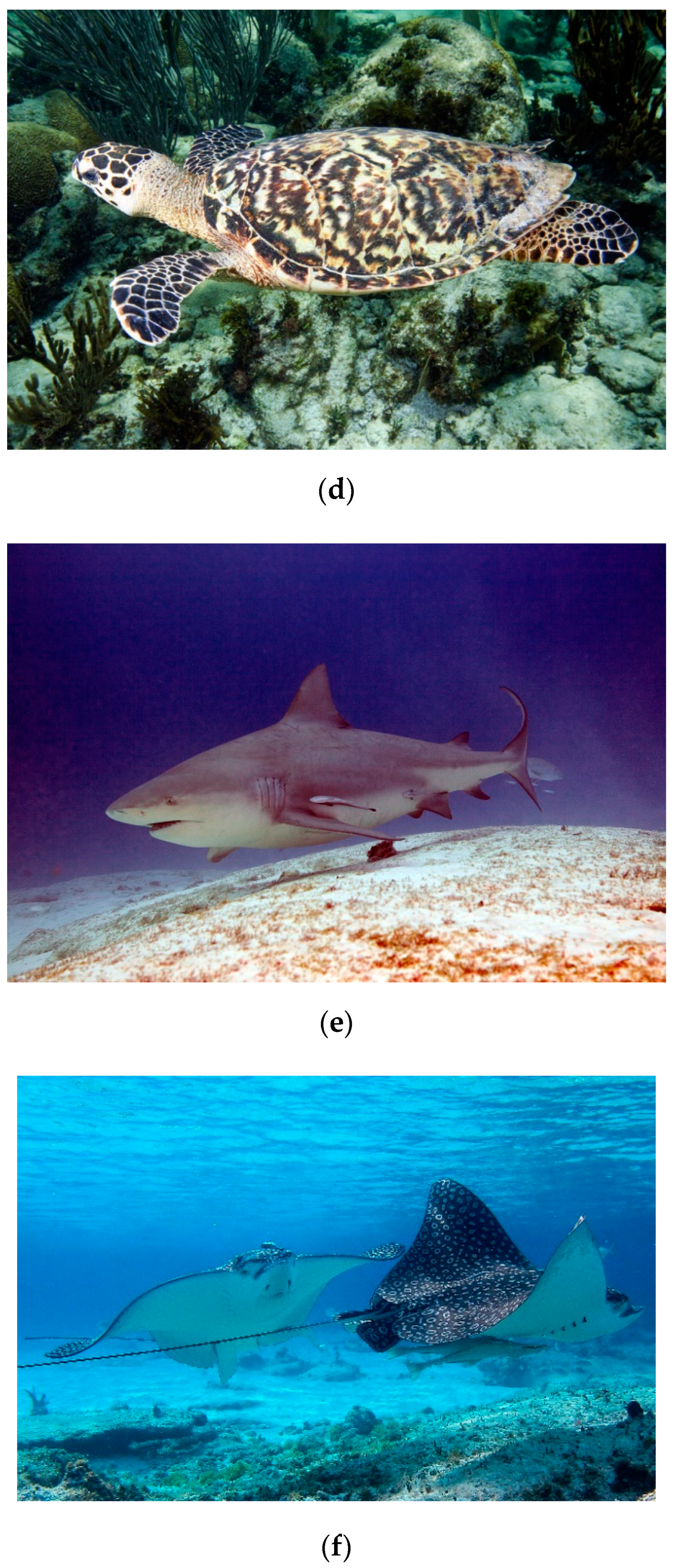 Sustainability 12 07814 g003b