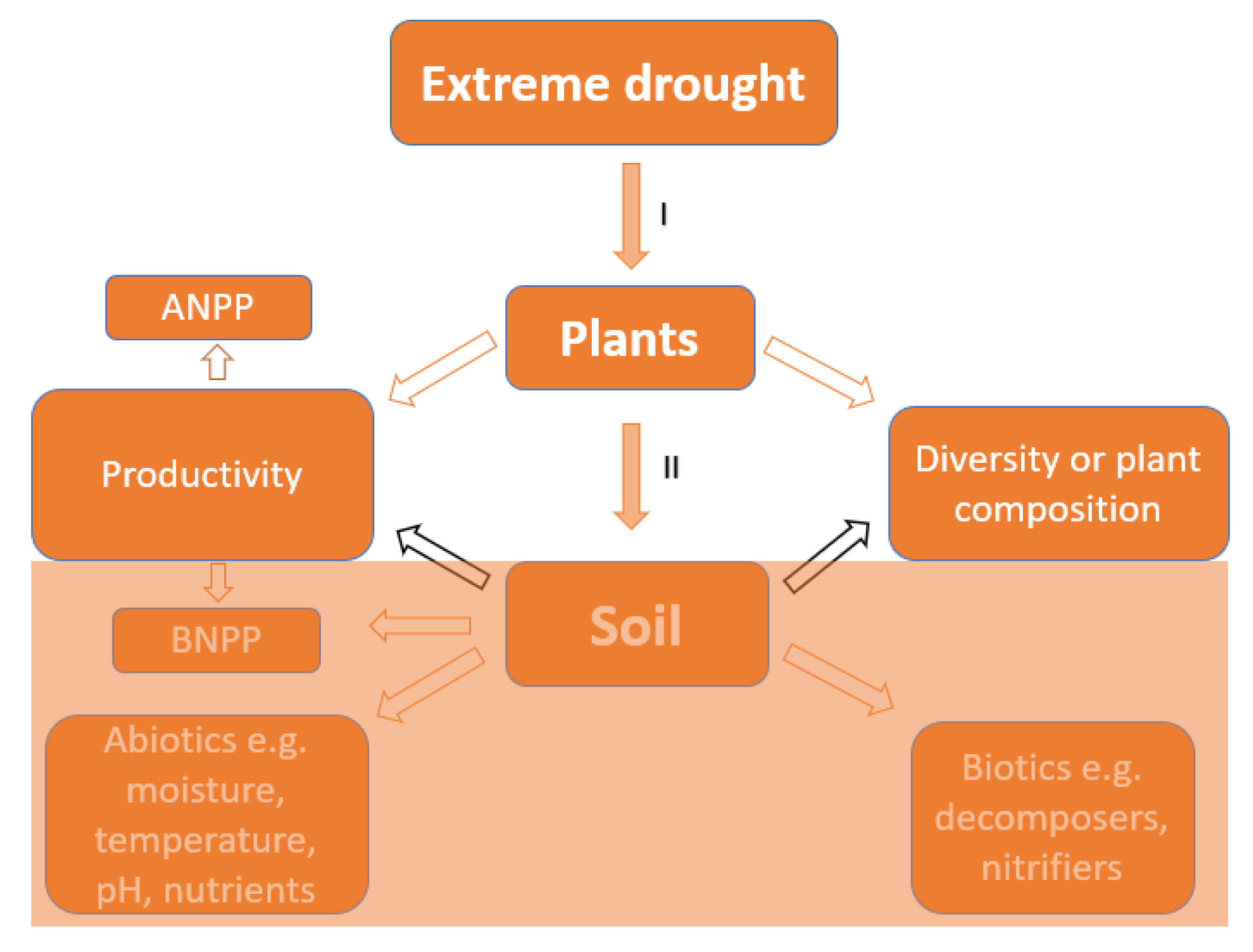 Sustainability 12 07837 g001