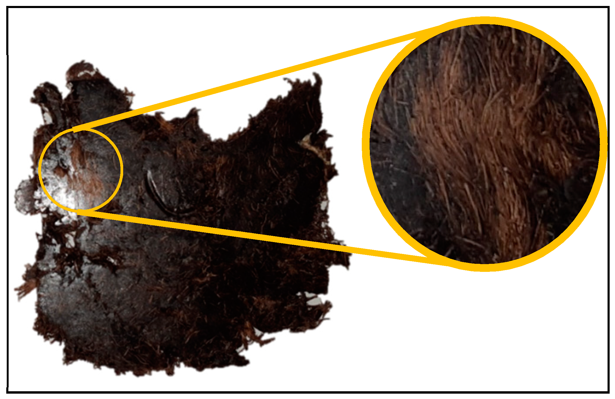 Sustainability 12 07838 g003