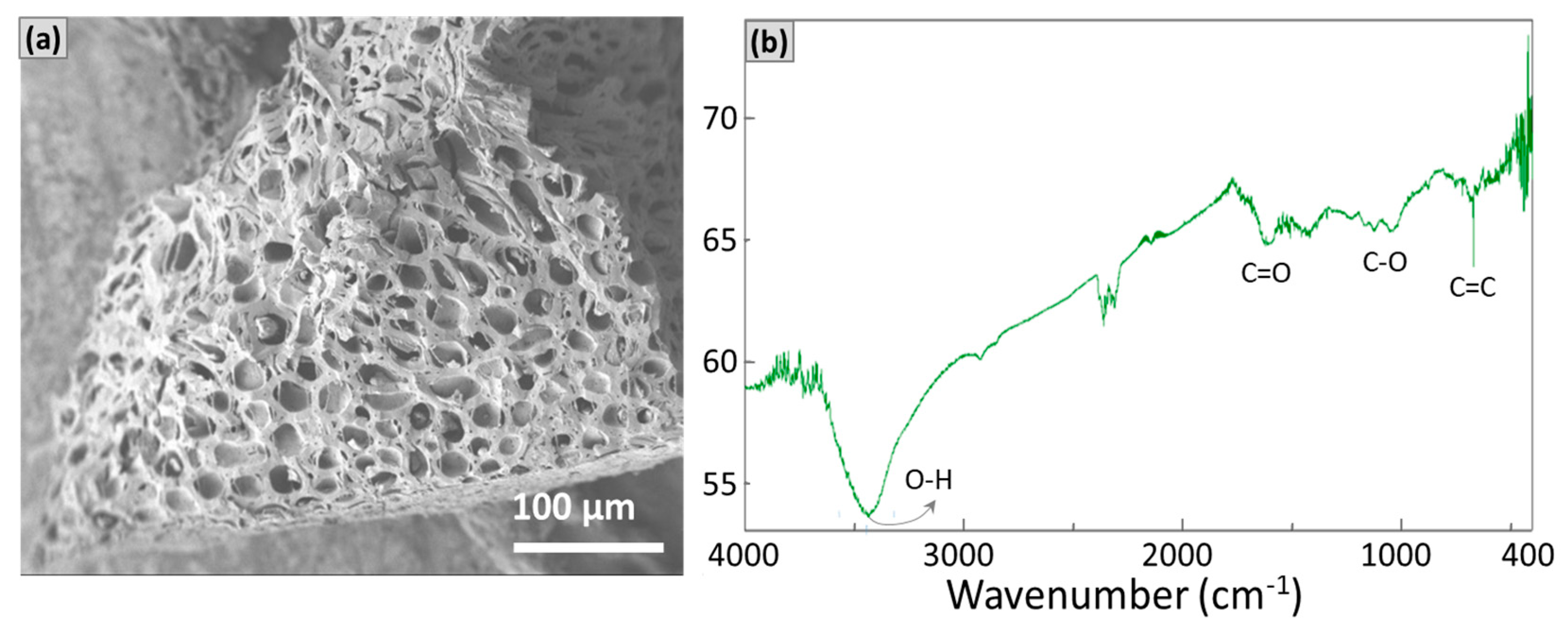 Sustainability 12 07909 g001
