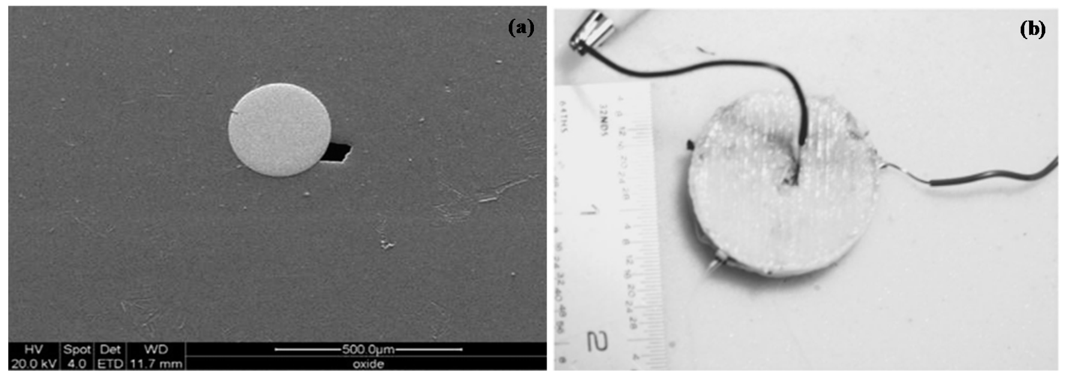 Sustainability 12 07936 g012