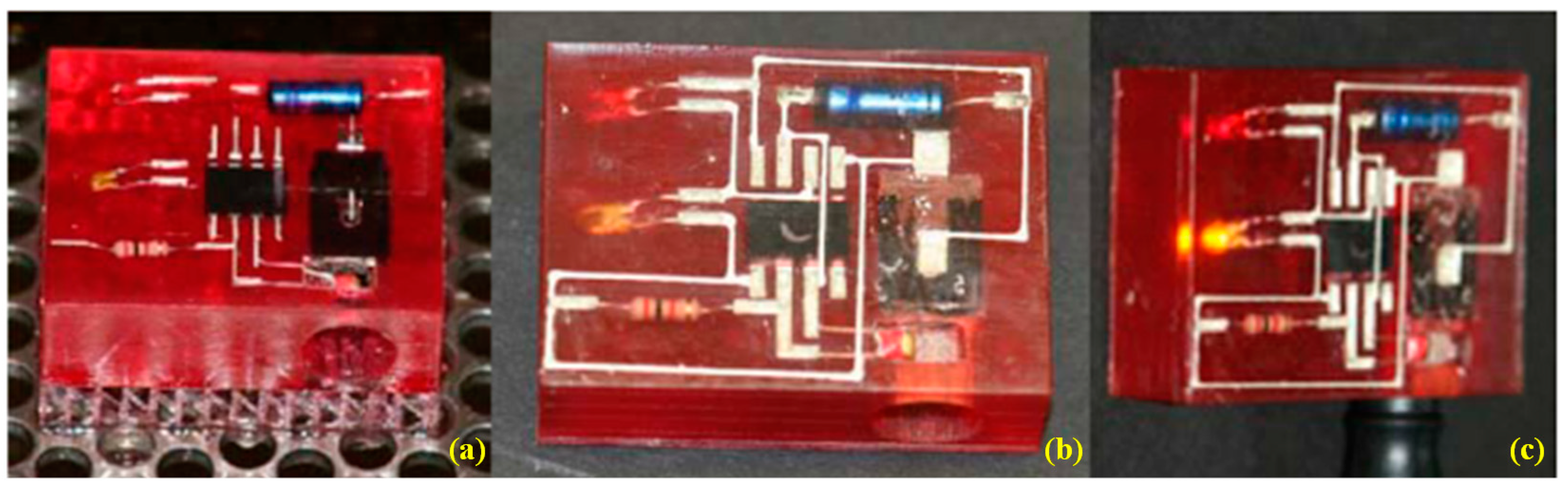 Sustainability 12 07936 g013