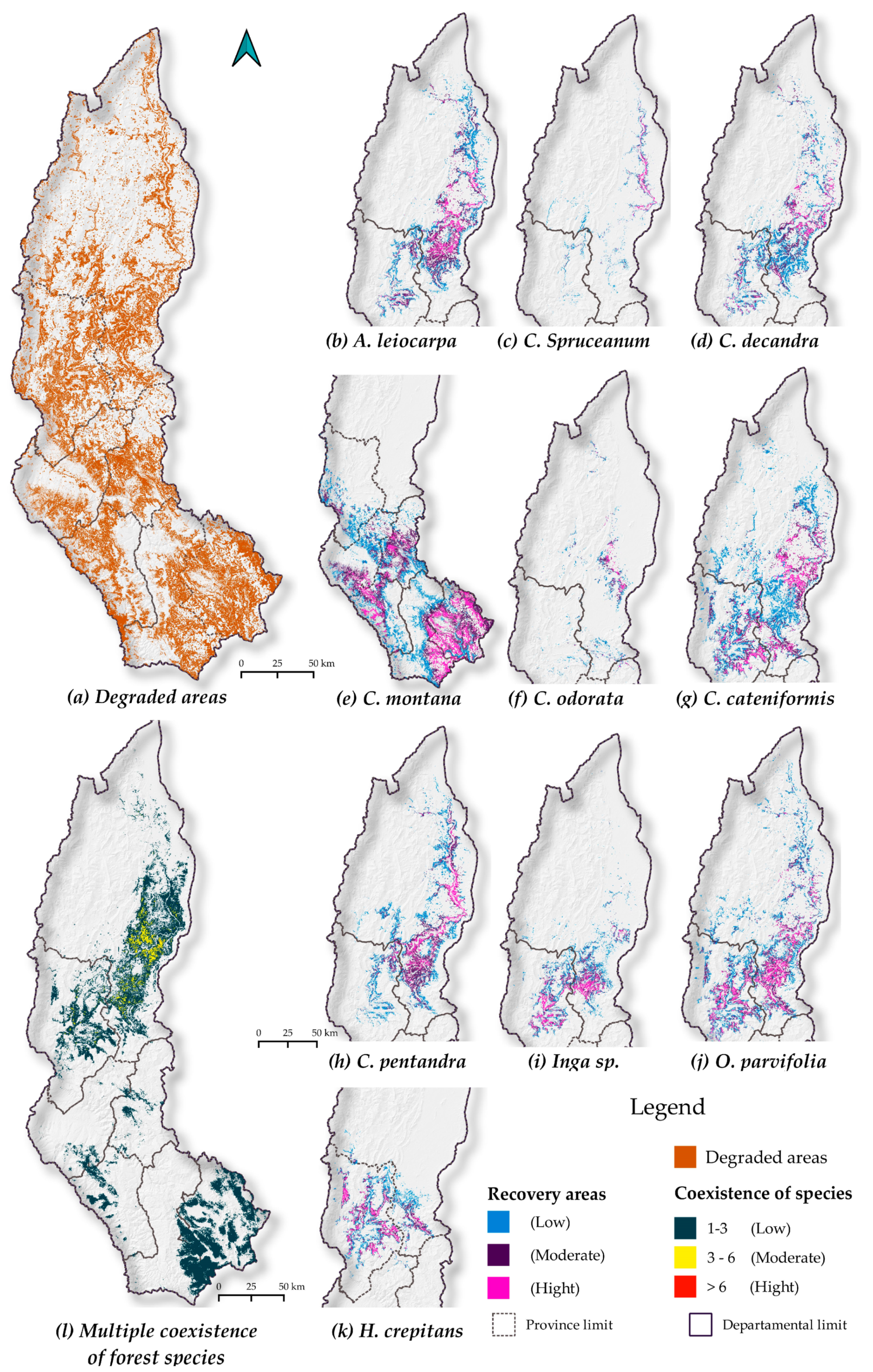 Sustainability 12 07945 g004