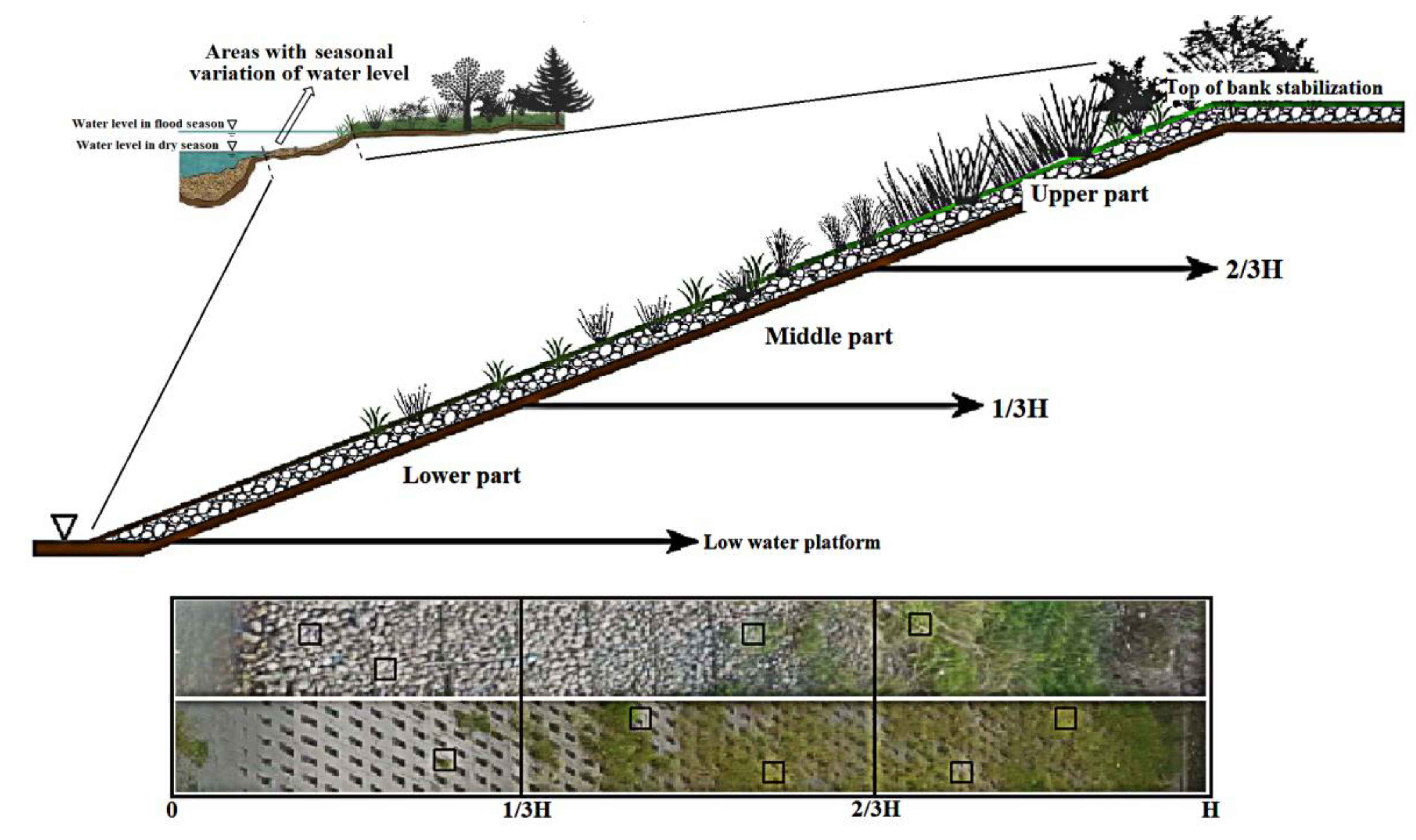 Sustainability 12 07991 g002
