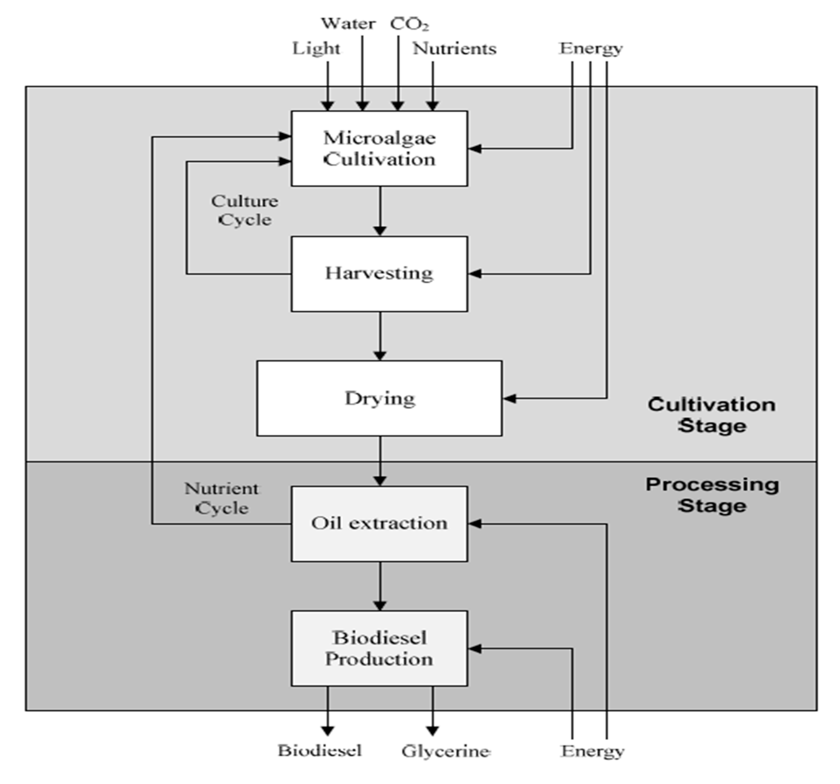 Sustainability 12 08009 g003