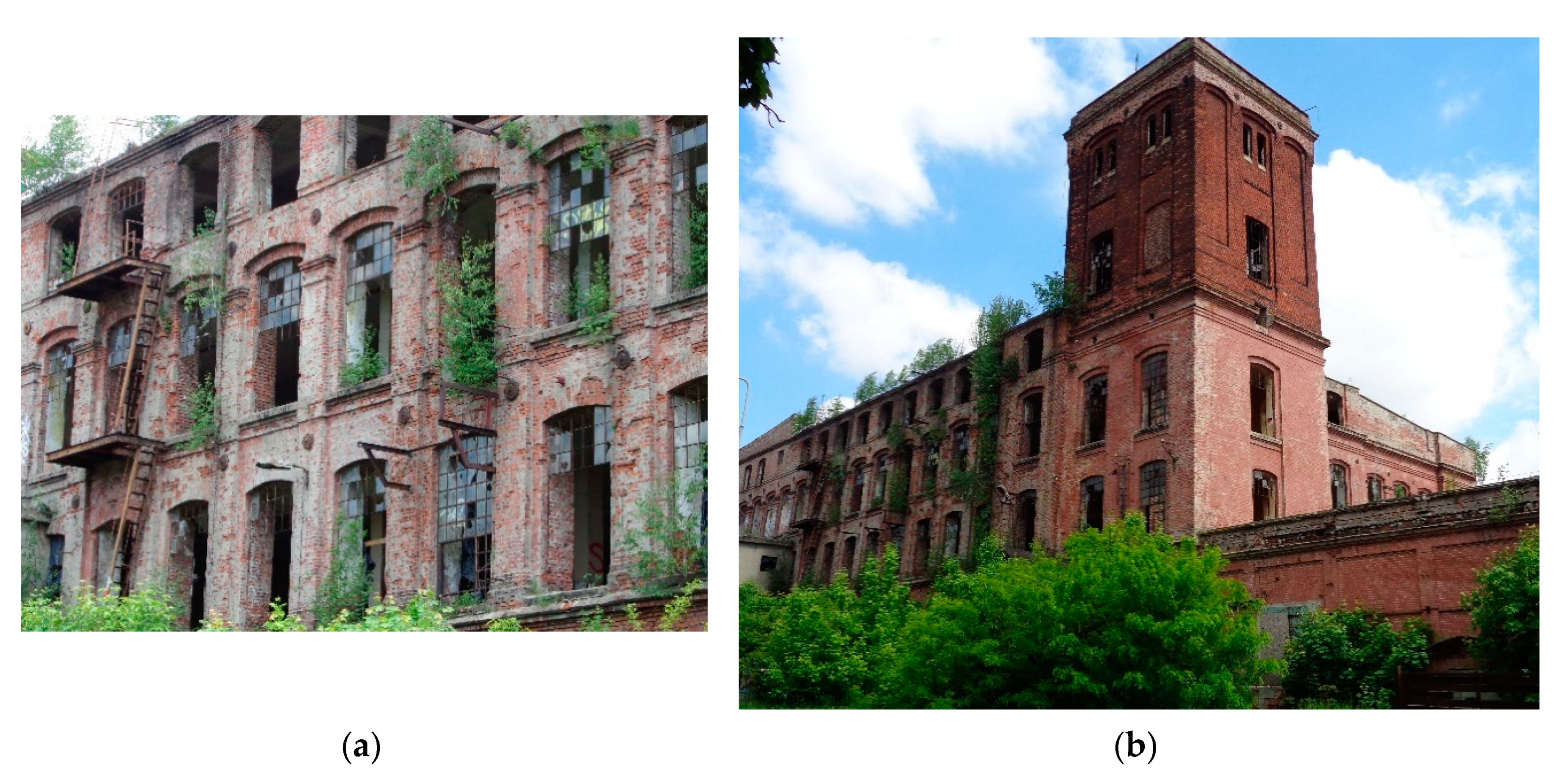 Sustainability 12 08054 g002