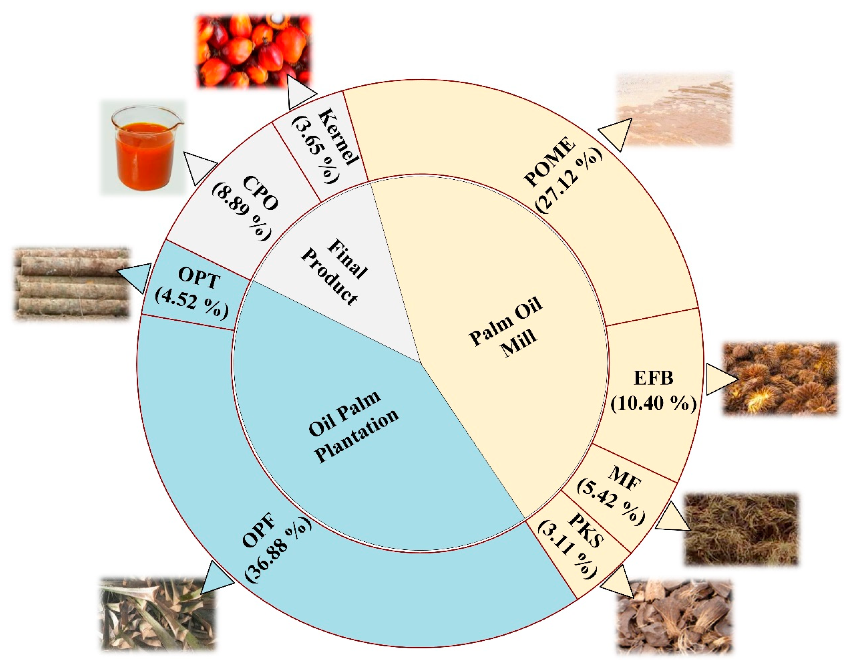 Sustainability 12 08081 g001