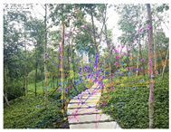 Sustainability 12 08128 i009