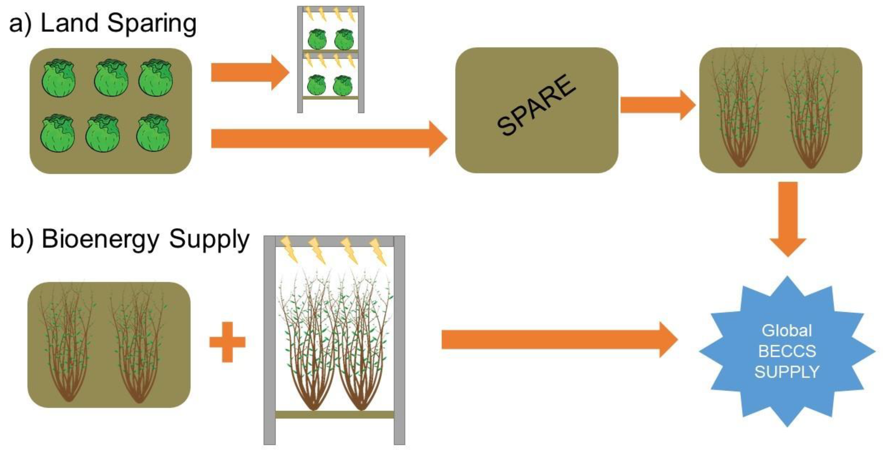 Sustainability 12 08193 g002 Sustainability 12 08193 g002