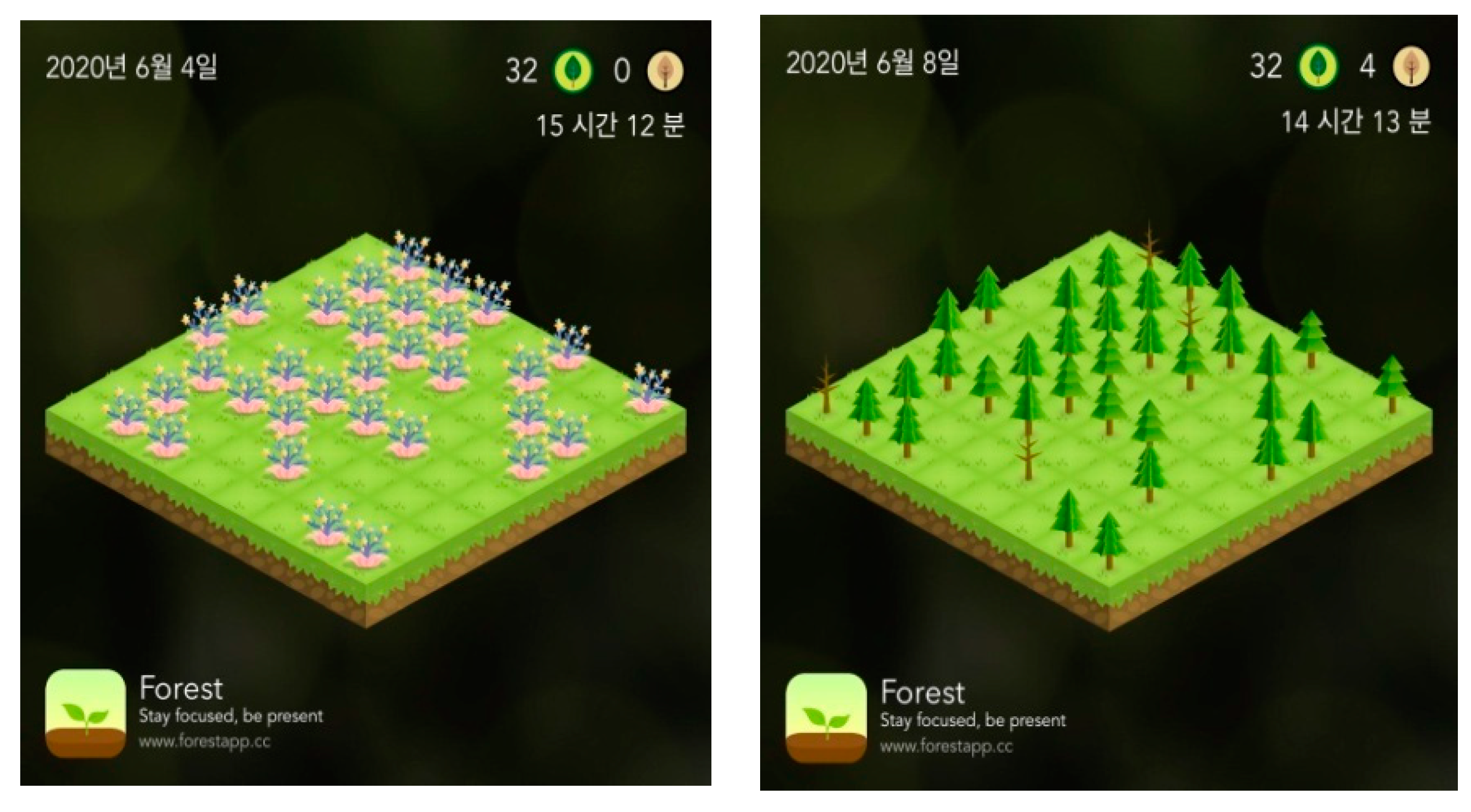 Sustainability 12 08229 g008