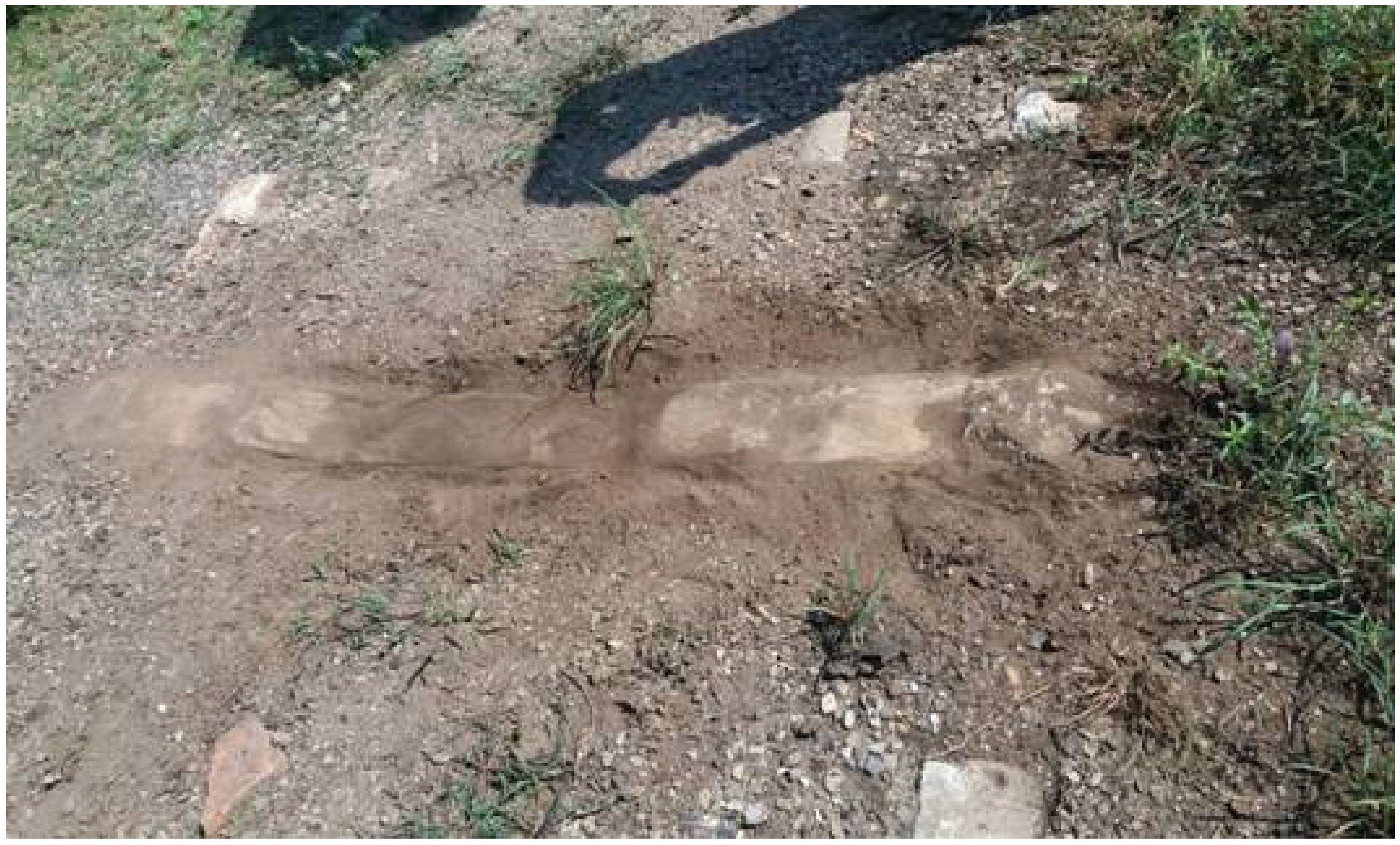 Sustainability 12 08249 g002 Sustainability 12 08249 g002