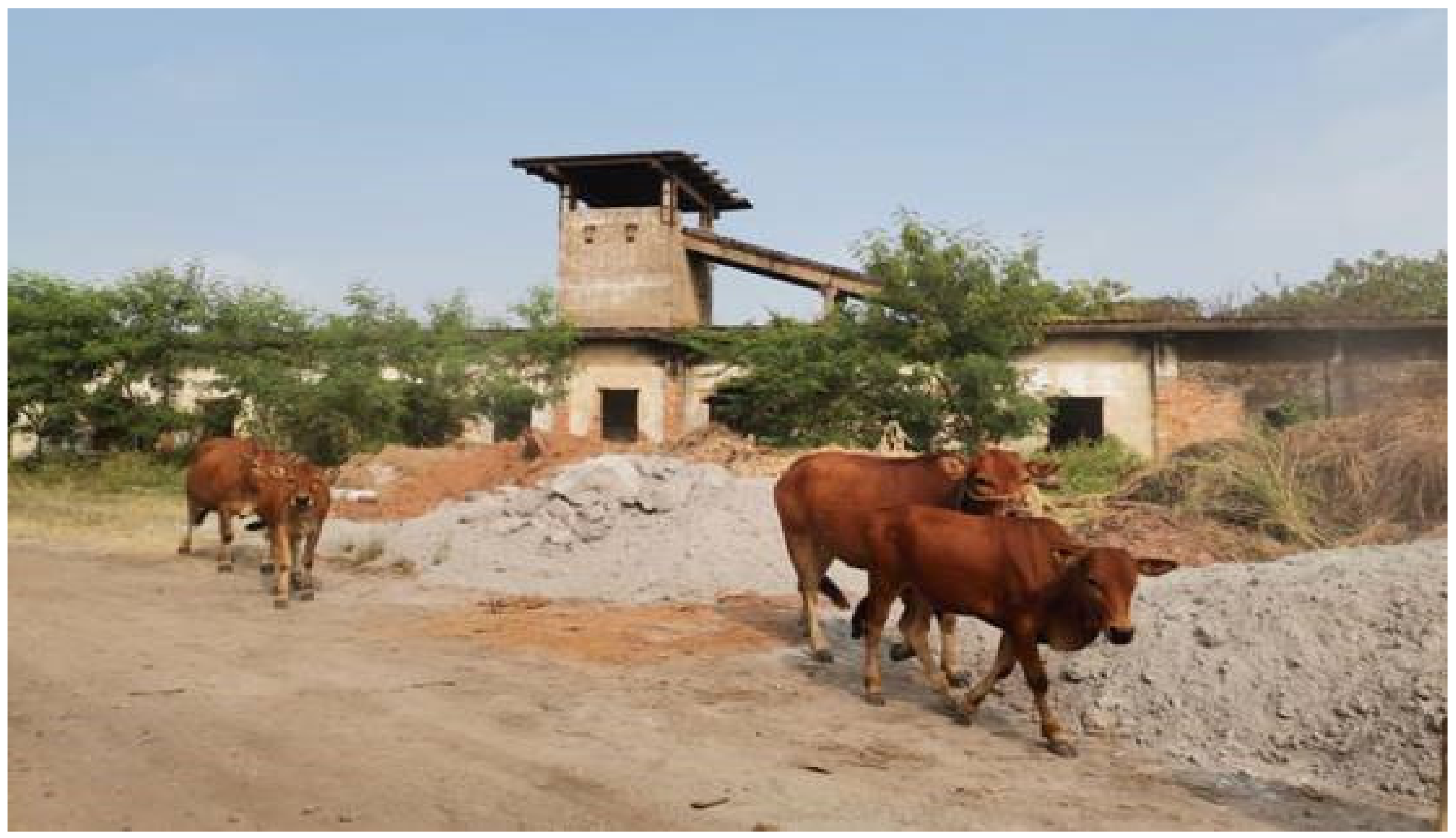 Sustainability 12 08249 g005 Sustainability 12 08249 g005