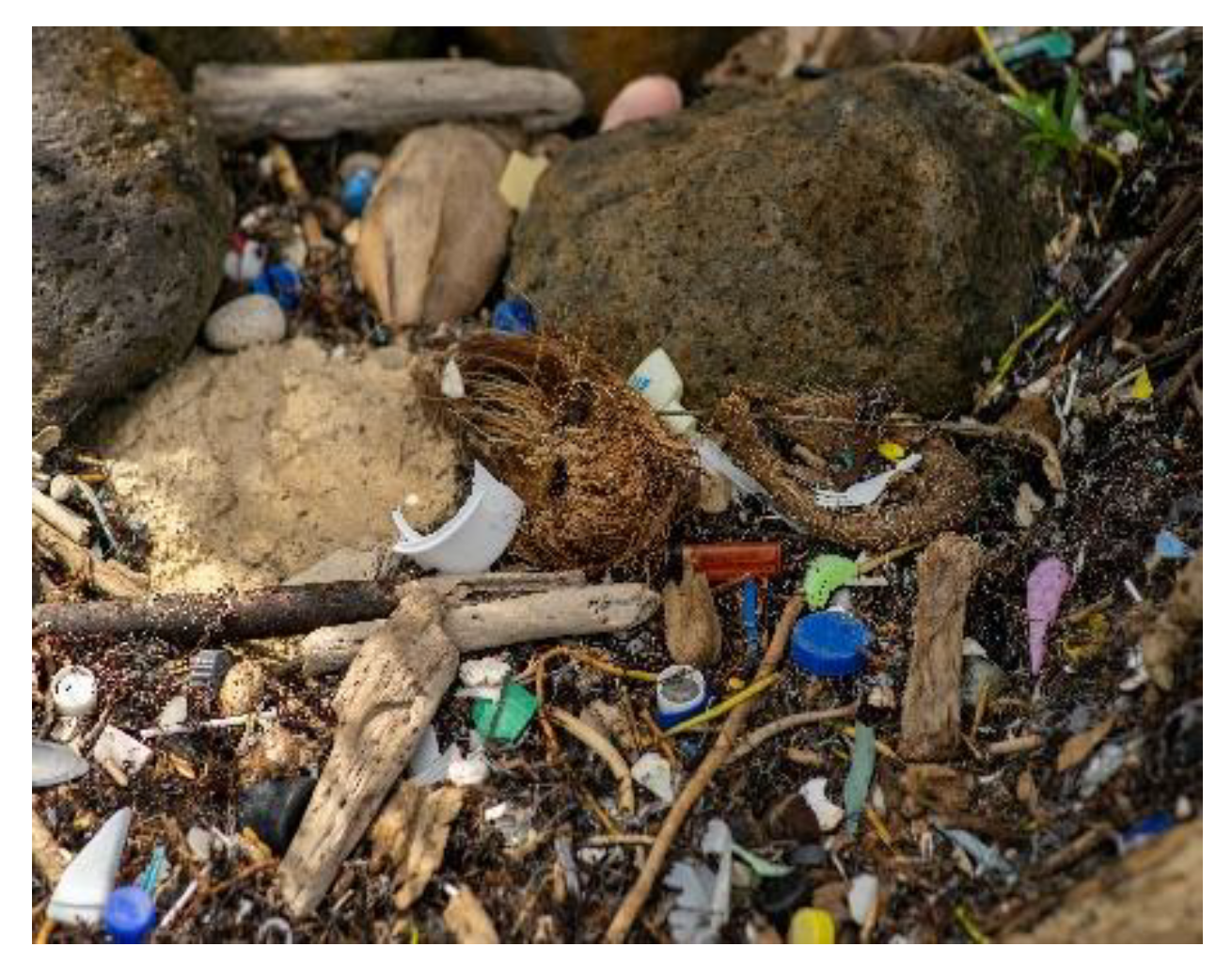 Sustainability 12 08360 g019