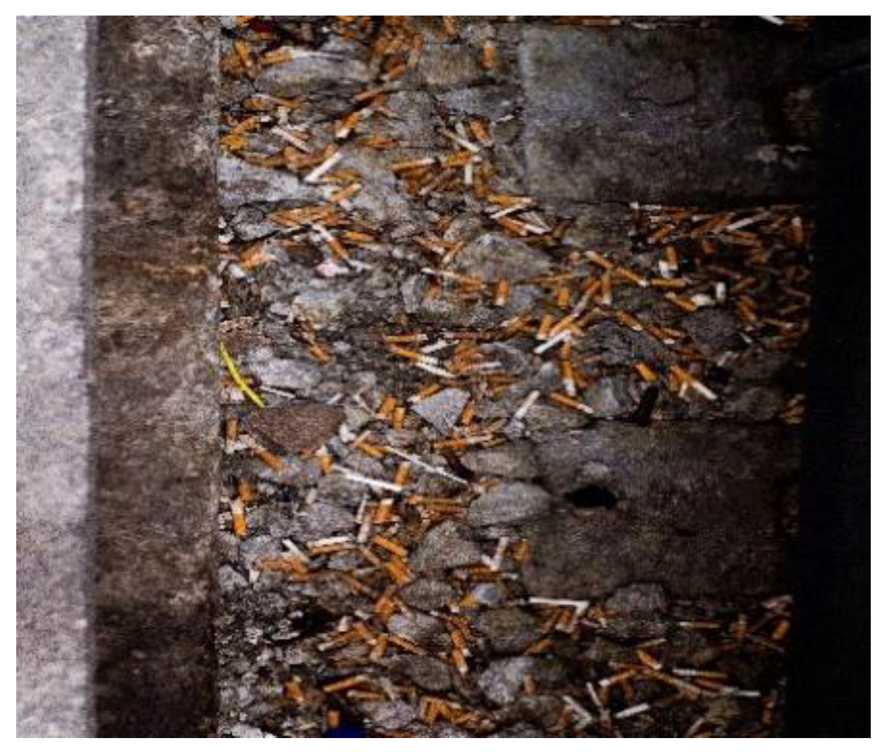 Sustainability 12 08360 g021