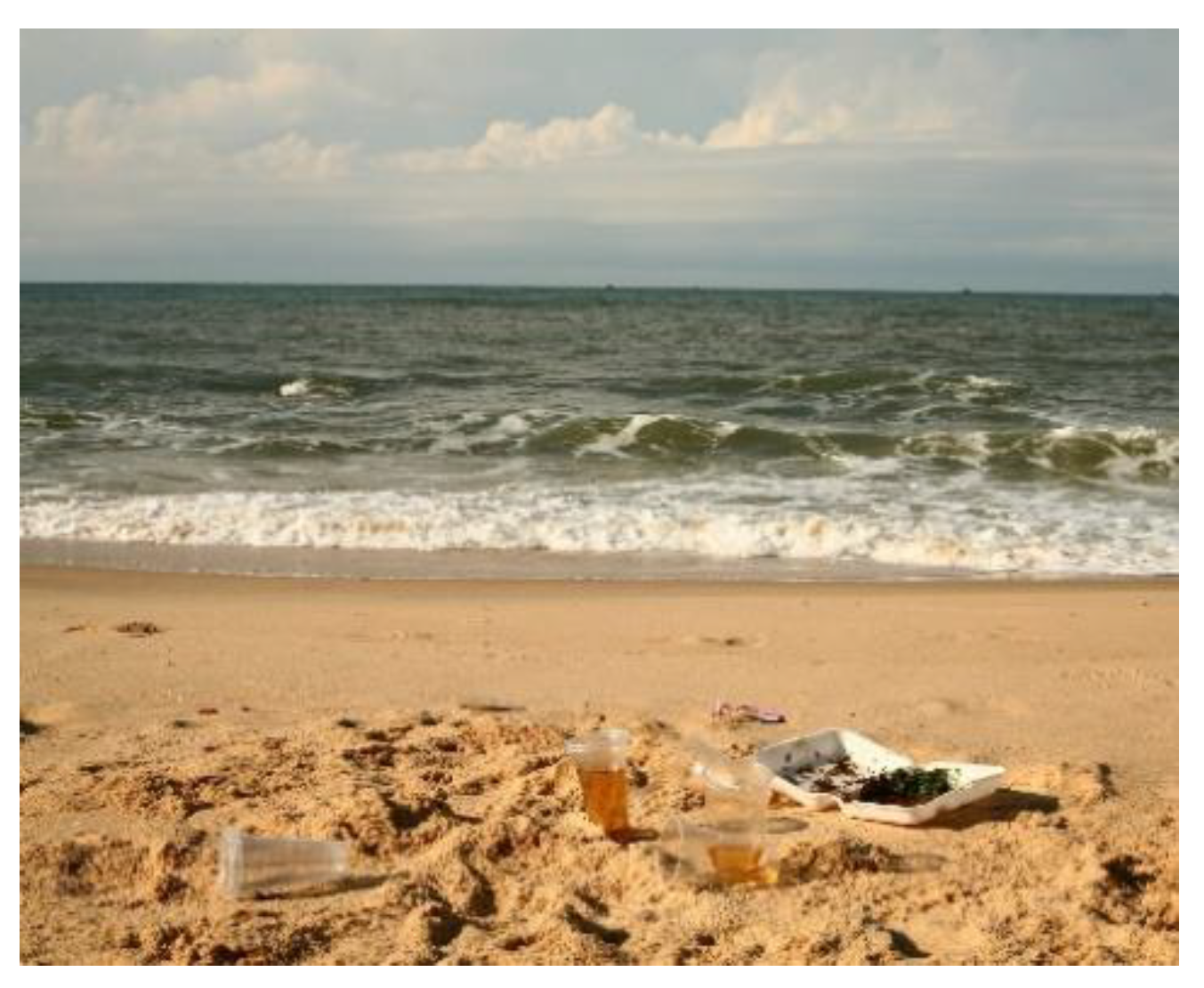 Sustainability 12 08360 g022