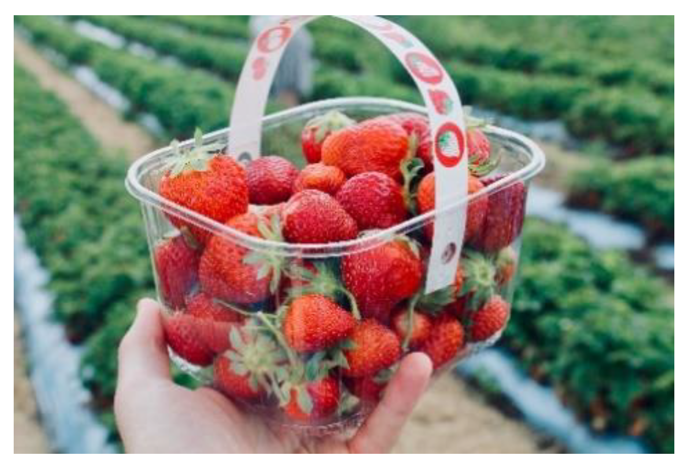 Sustainability 12 08360 g025