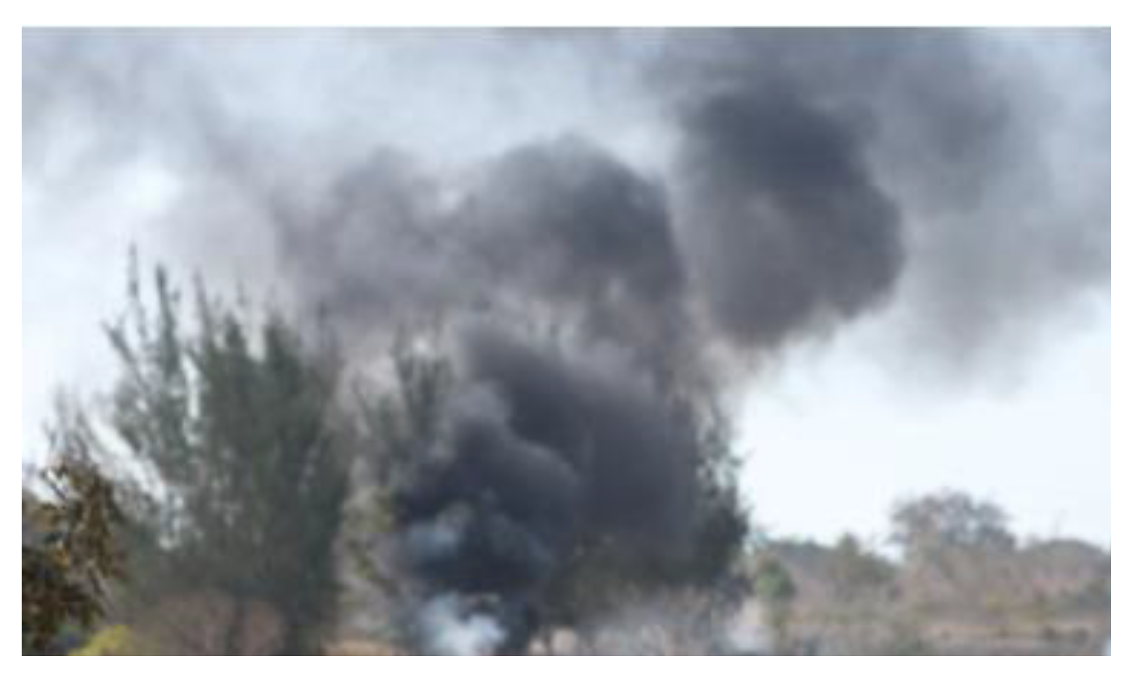 Sustainability 12 08360 g031