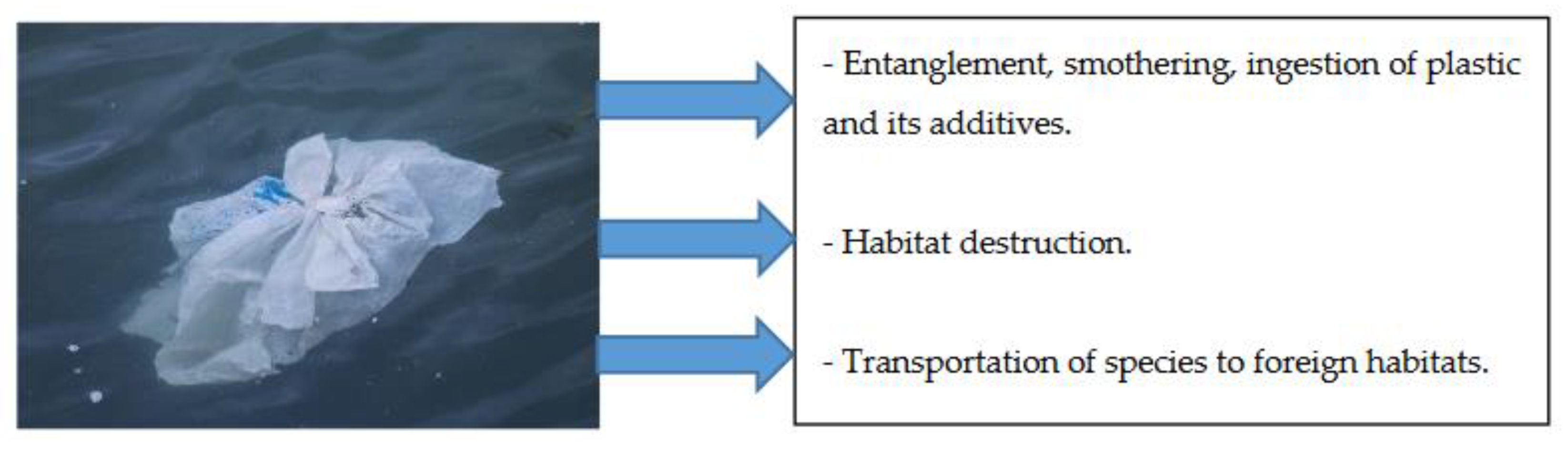 Sustainability 12 08360 g039