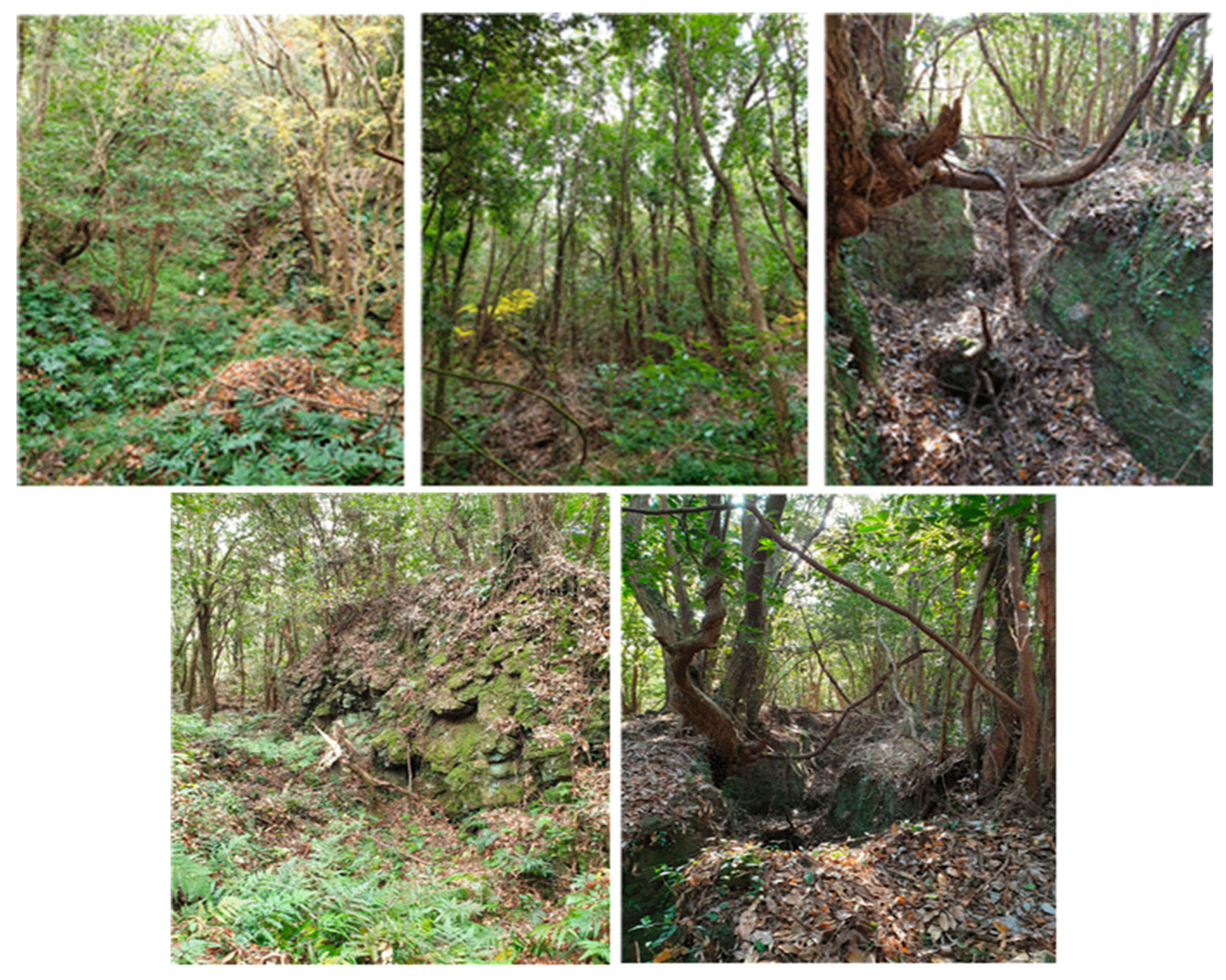 Sustainability 12 08371 g002