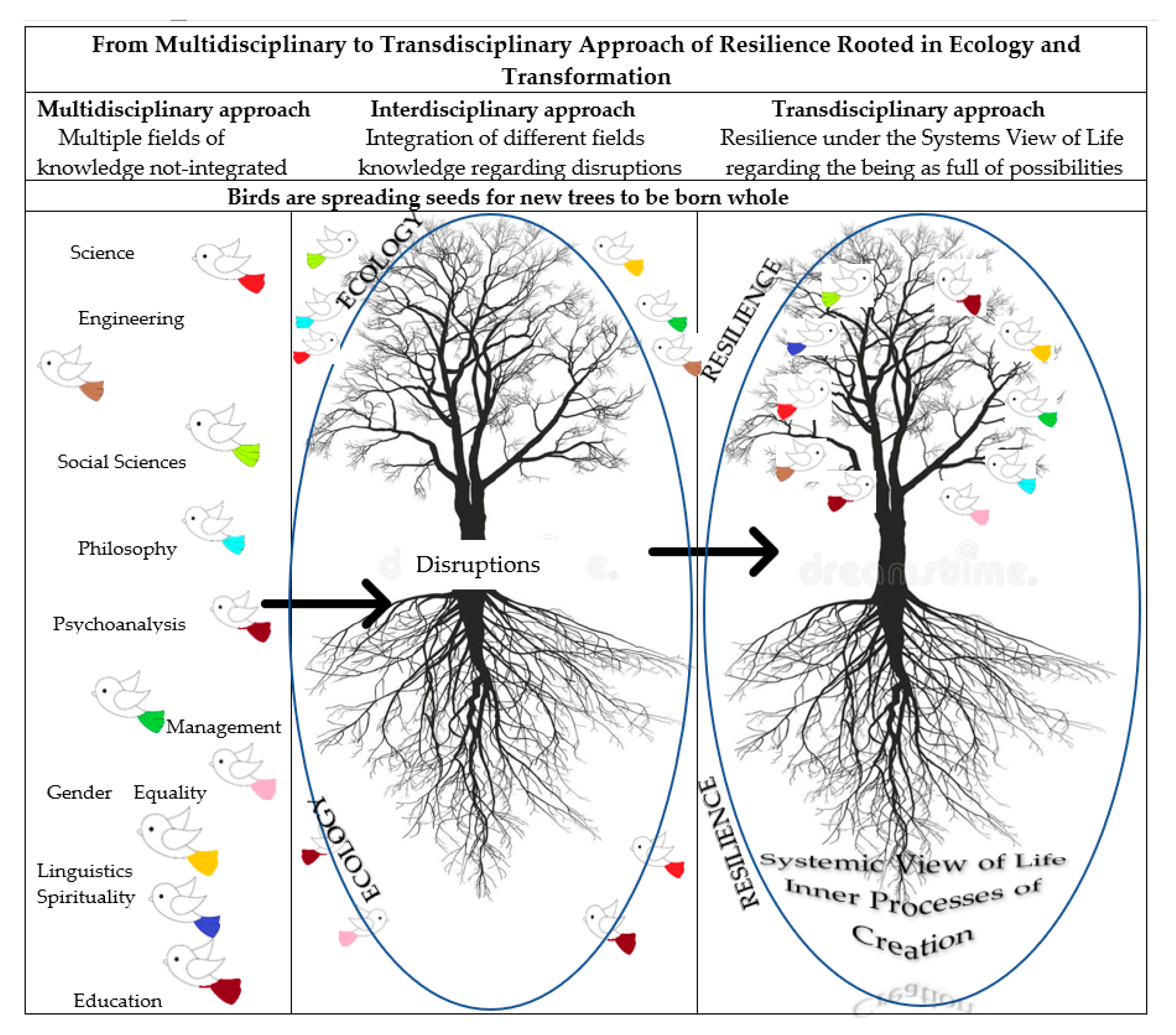 Sustainability 12 08407 g002