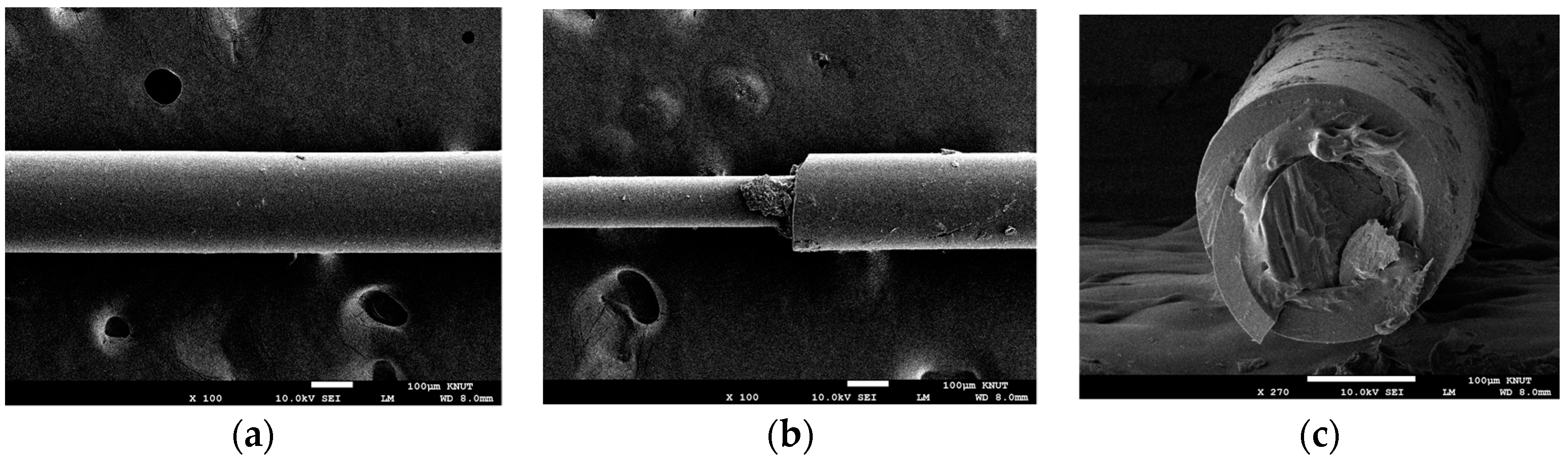 Sustainability 12 08501 g010