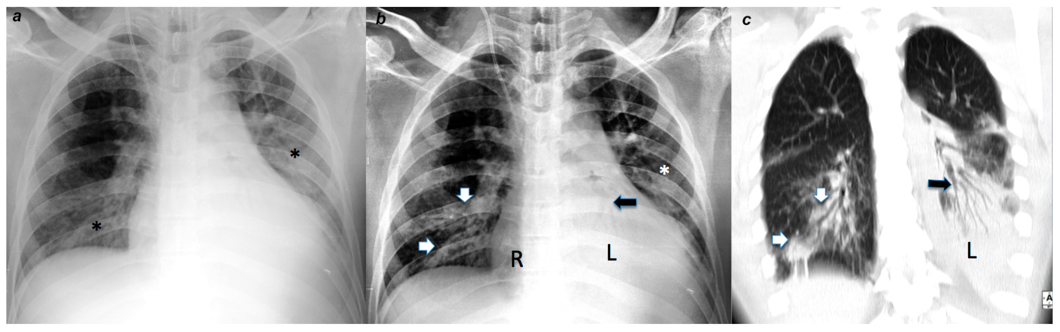 Sustainability 12 08573 g0a1