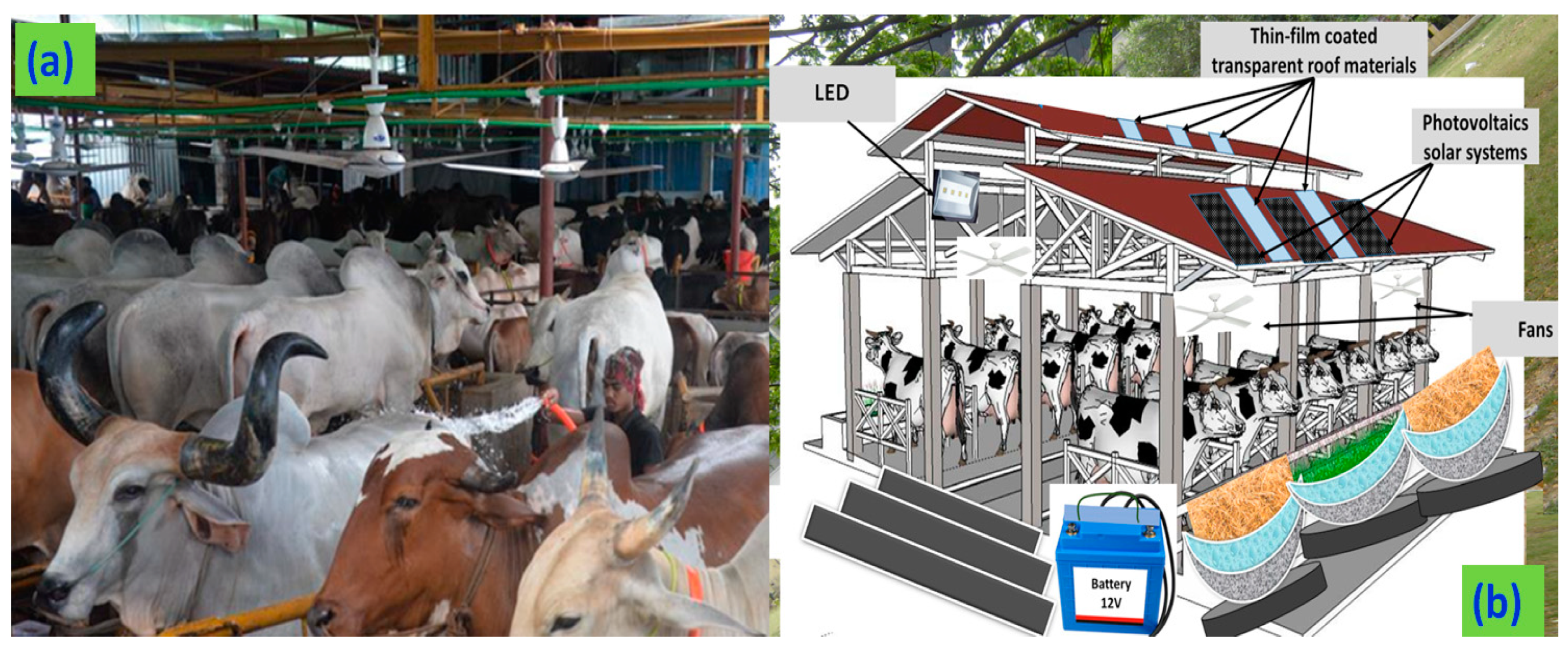 Sustainability 12 08609 g001