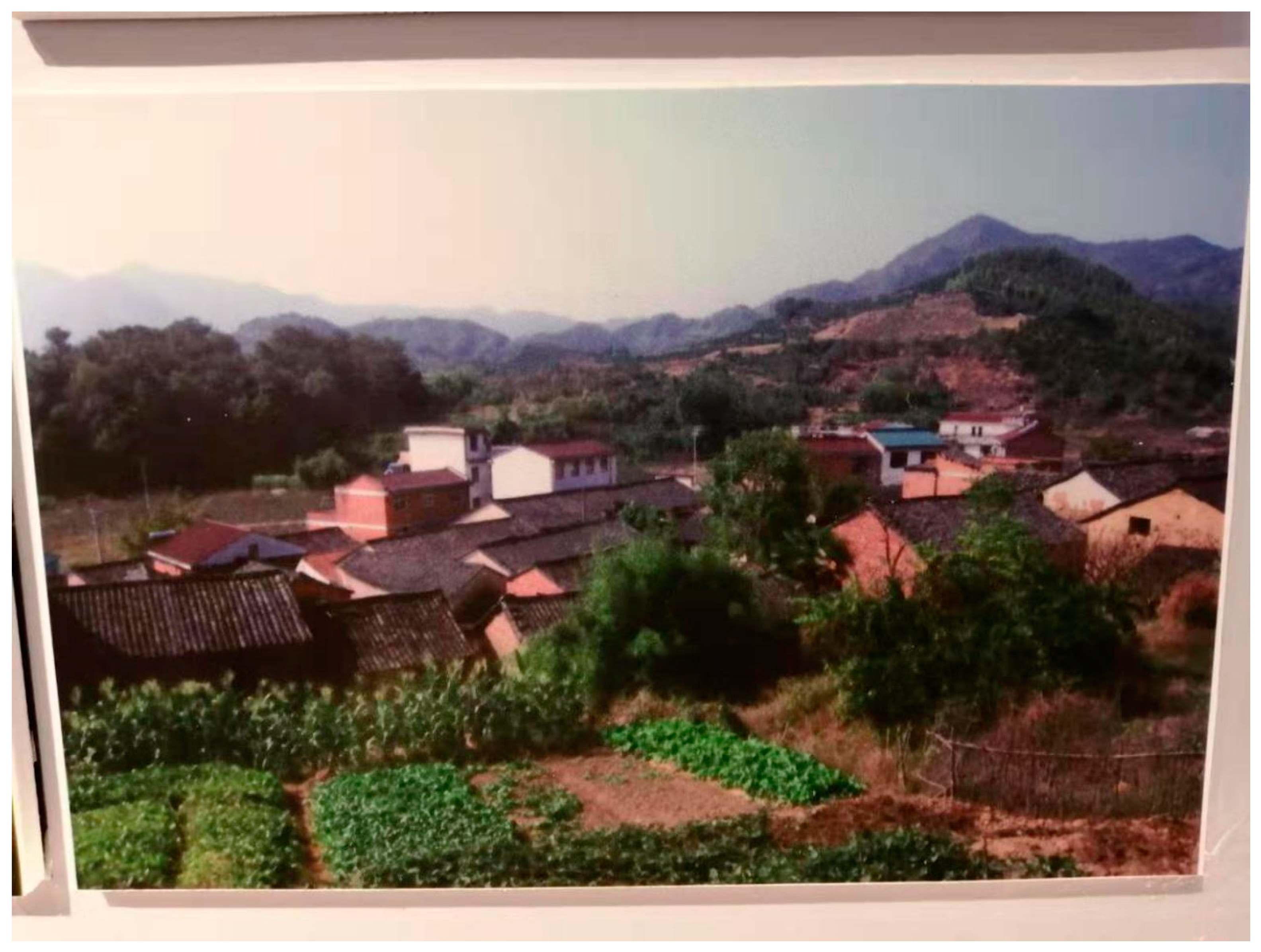 Sustainability 12 08635 g003