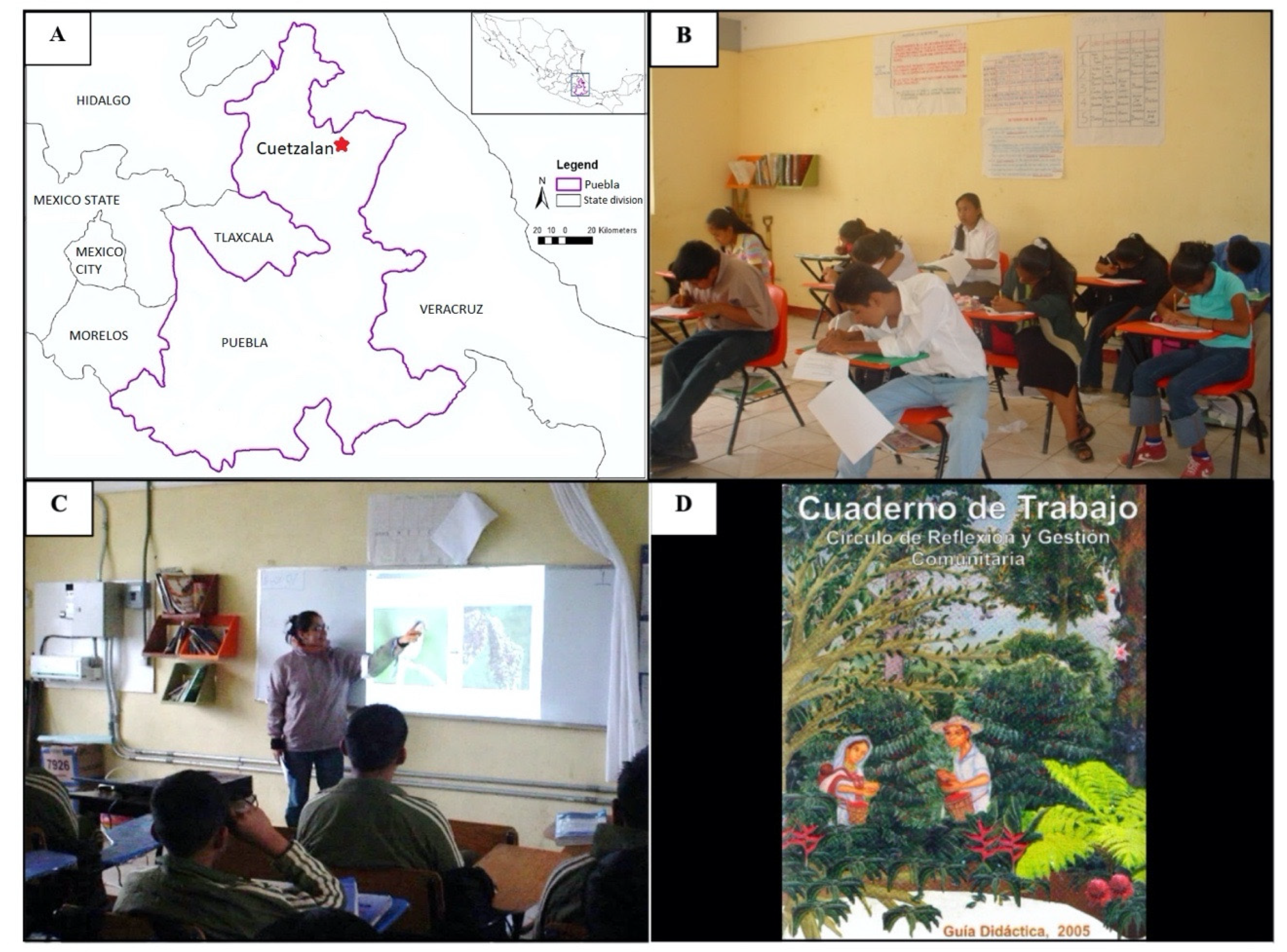 Sustainability 12 08684 g001