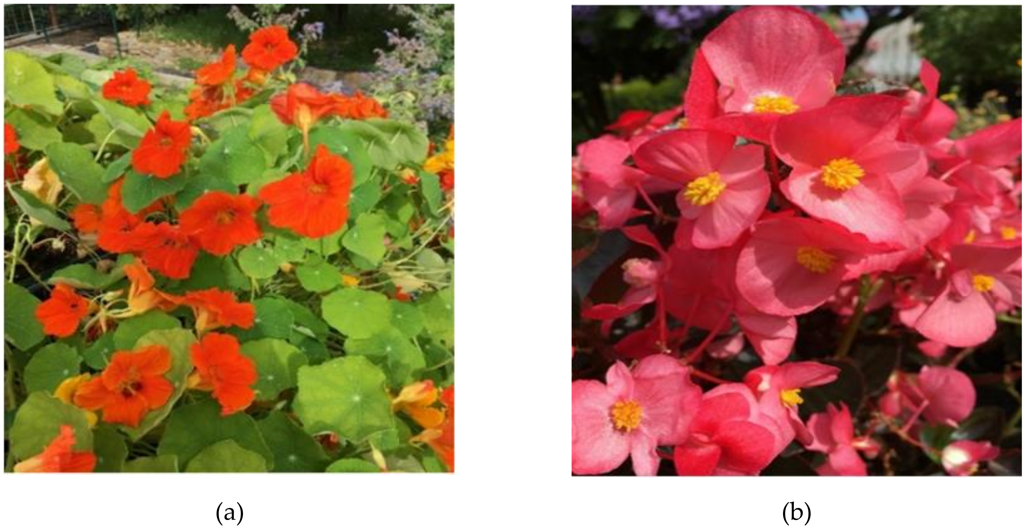 Sustainability 12 08709 g004a