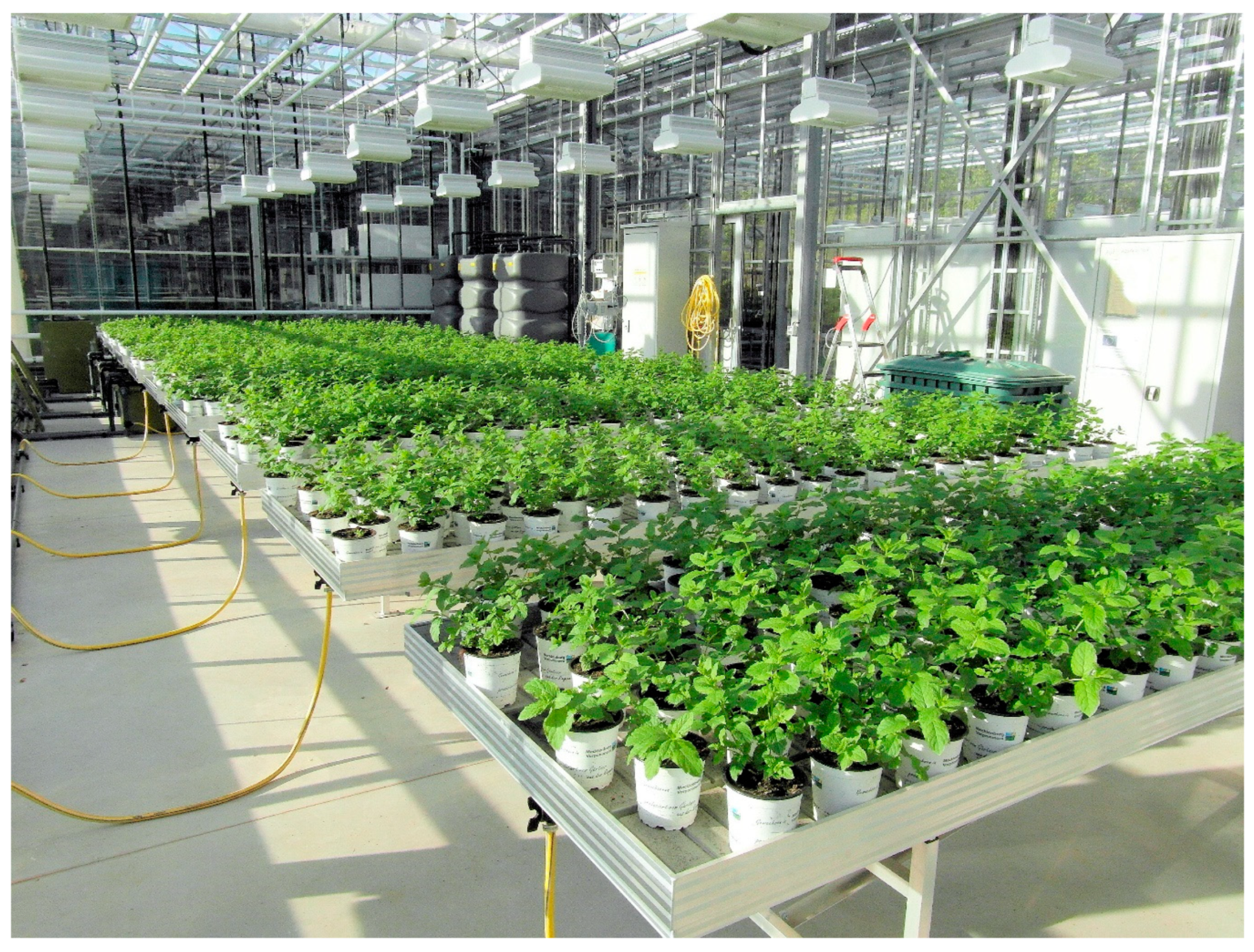 Sustainability 12 08717 g003