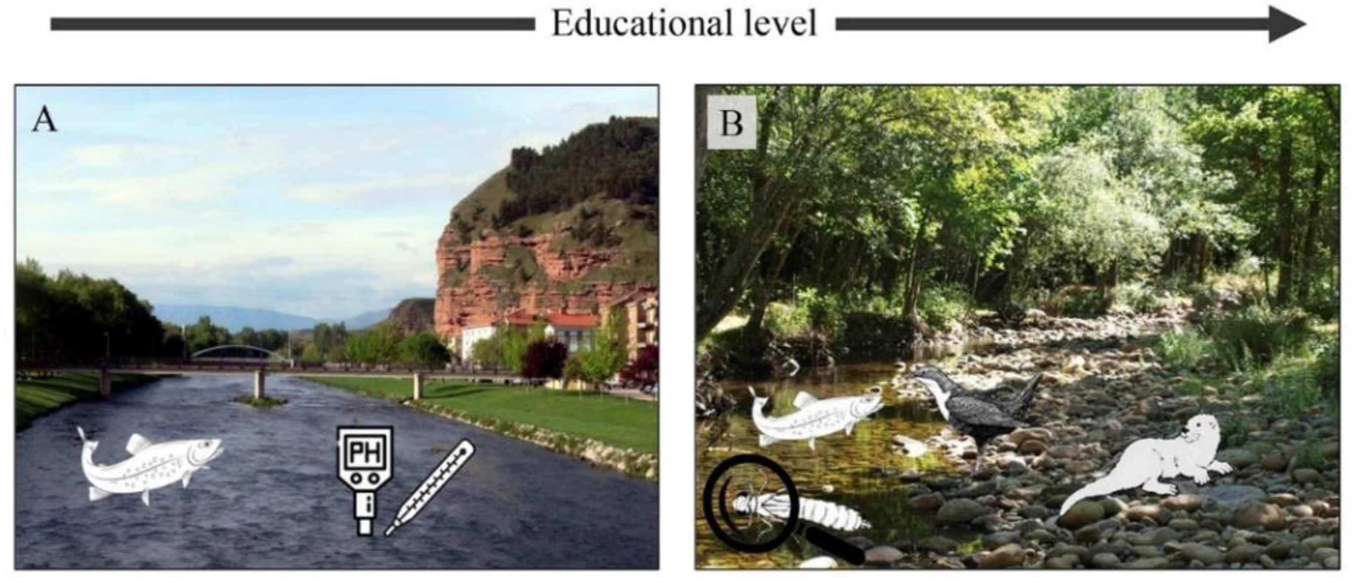 Sustainability 12 08719 g007