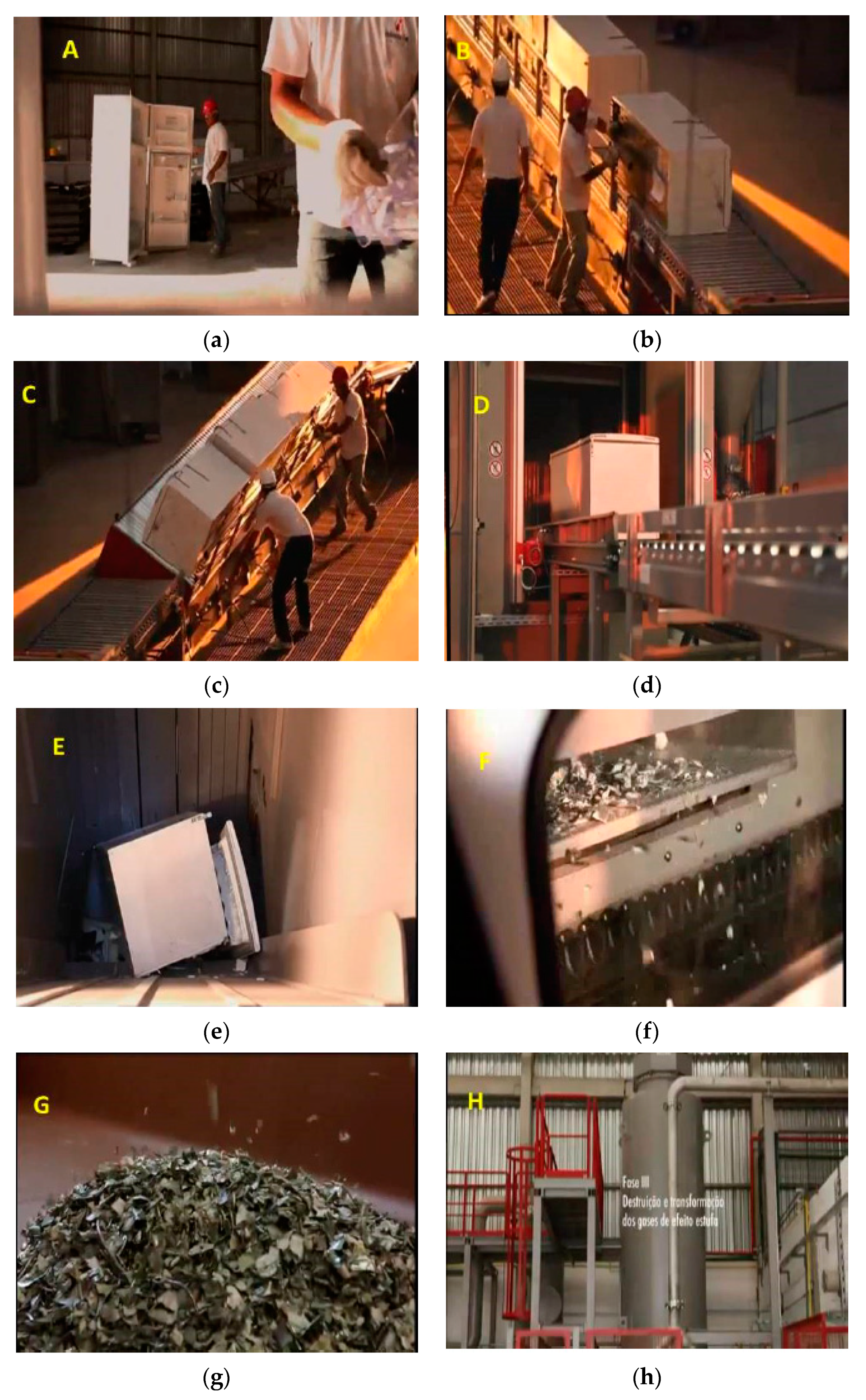 Sustainability 12 08731 g001